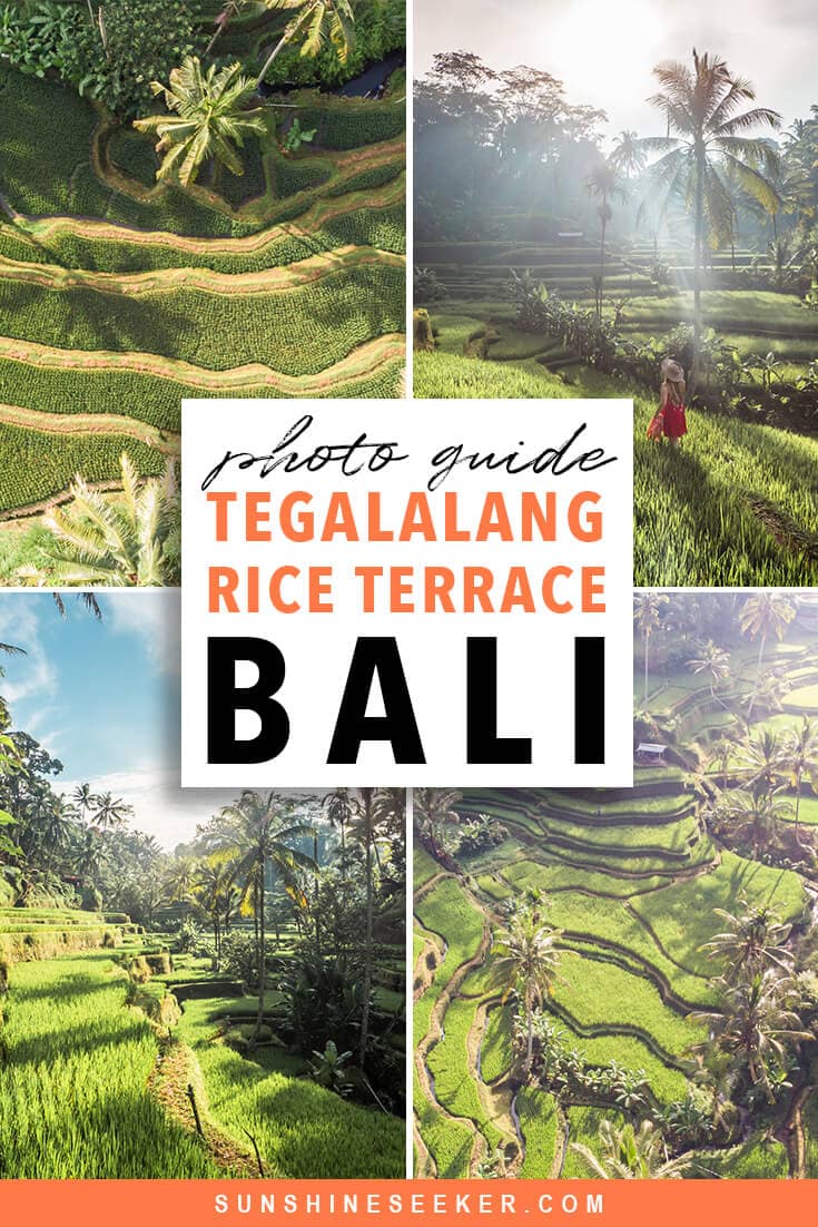 Tegalalang Rice Terrace photography guide. Everything you need to know before you go. Where to find the Instafamous sunrise photo location in Ubud, Bali.