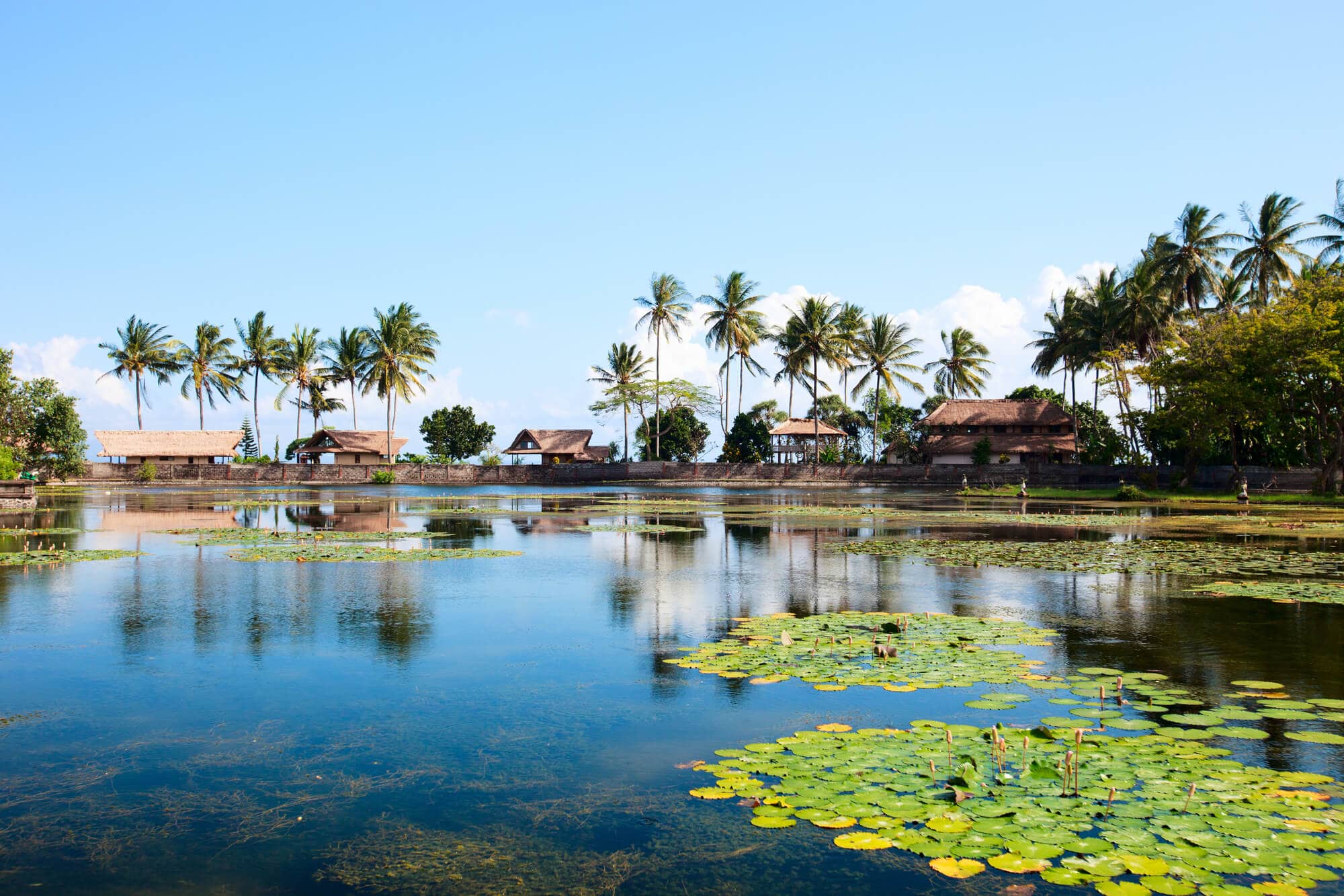 The beautiful Lotus Lagoon in Candidasa - One of the places you can't miss in East Bali