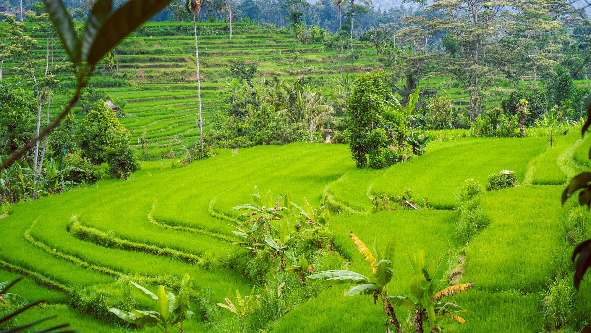 The beautiful valley of Sidemen - One of the places in East Bali you can't miss