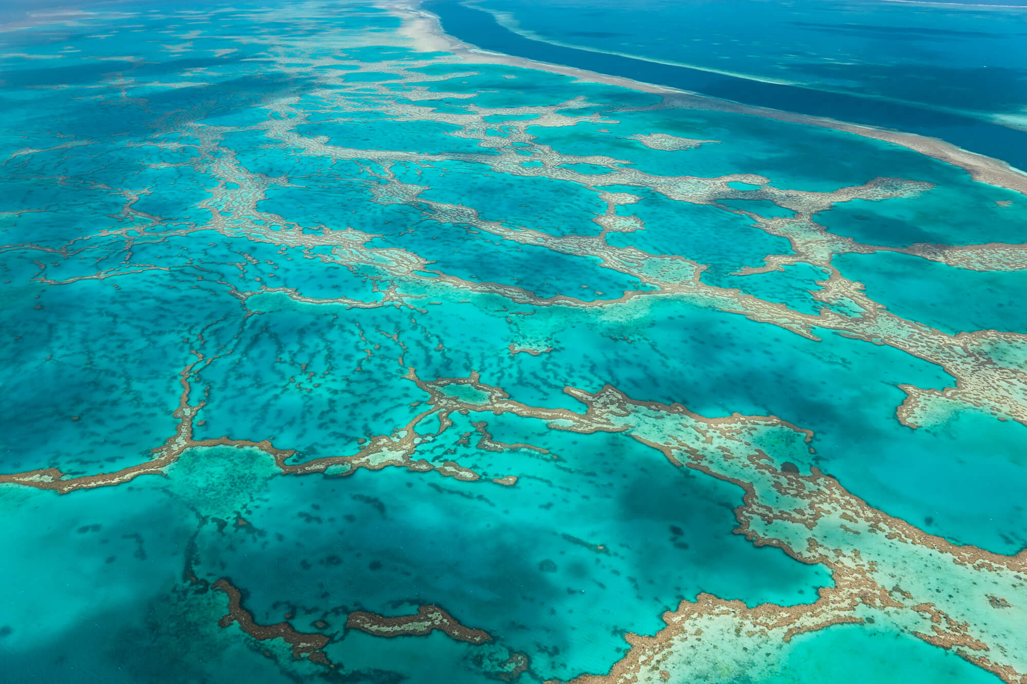 Aerial shot of the Great Barrier Reef and the turquoise ocean around Fitzroy Island.