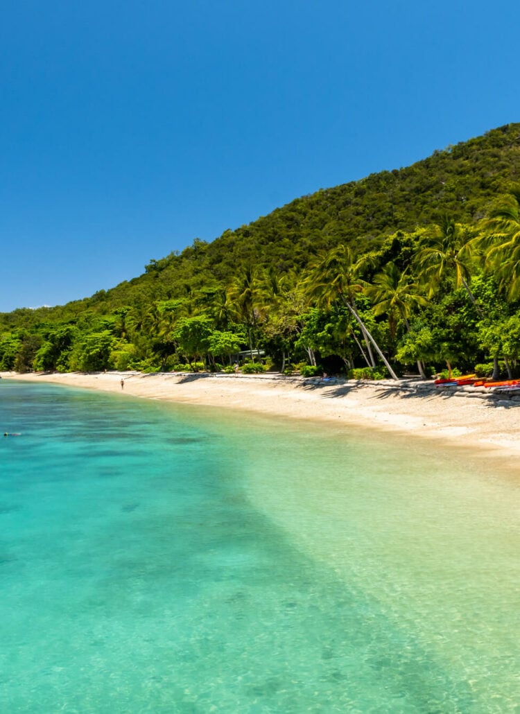 The crystal clear turquoise oceam white sand and palm trees of the narrow Welcome Bay beach on Fitzroy Island.