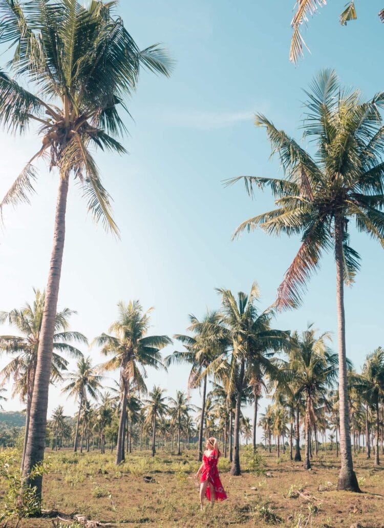 Girl in a red dress walking in a field of tall palm trees next to Tanjung Ann Beach, one of the top things to do in Lombok.