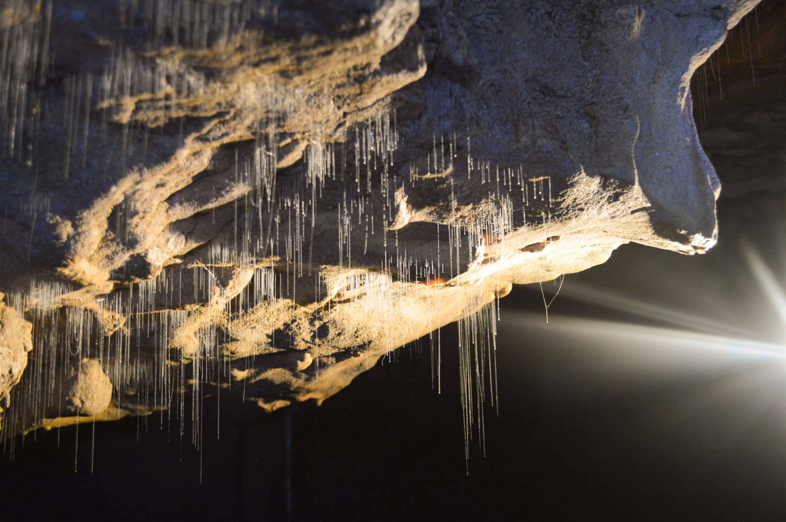 Discover 20 of the most unforgettable travel experiences in the world - Spelunking and rafting in Waitomo Glowworm Caves in New Zealand