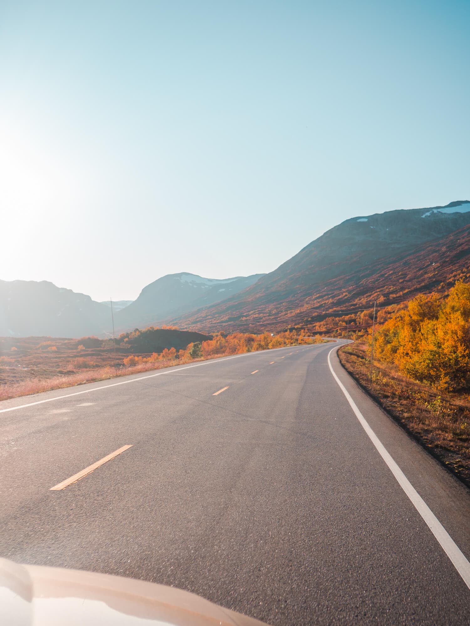 Driving through Jotunheimen mountain  during fall, with orange vegetation on both sides of the road - Norway travel cost.