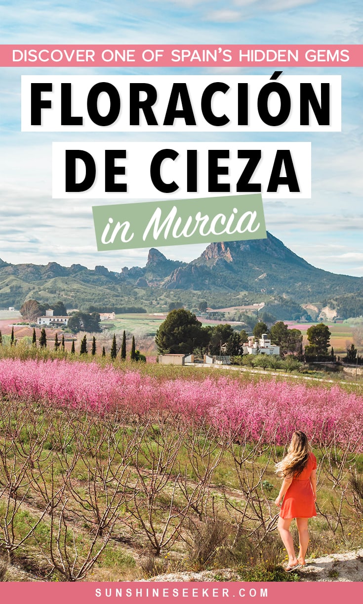 Discover the incredible Floración de Cieza (fruit tree blooming) in Murcia, Spain. Where to see the peach tree blossoms, how to get to Cieza + the top things to do close by. Awesome things to do in the Region of Murcia, Spain