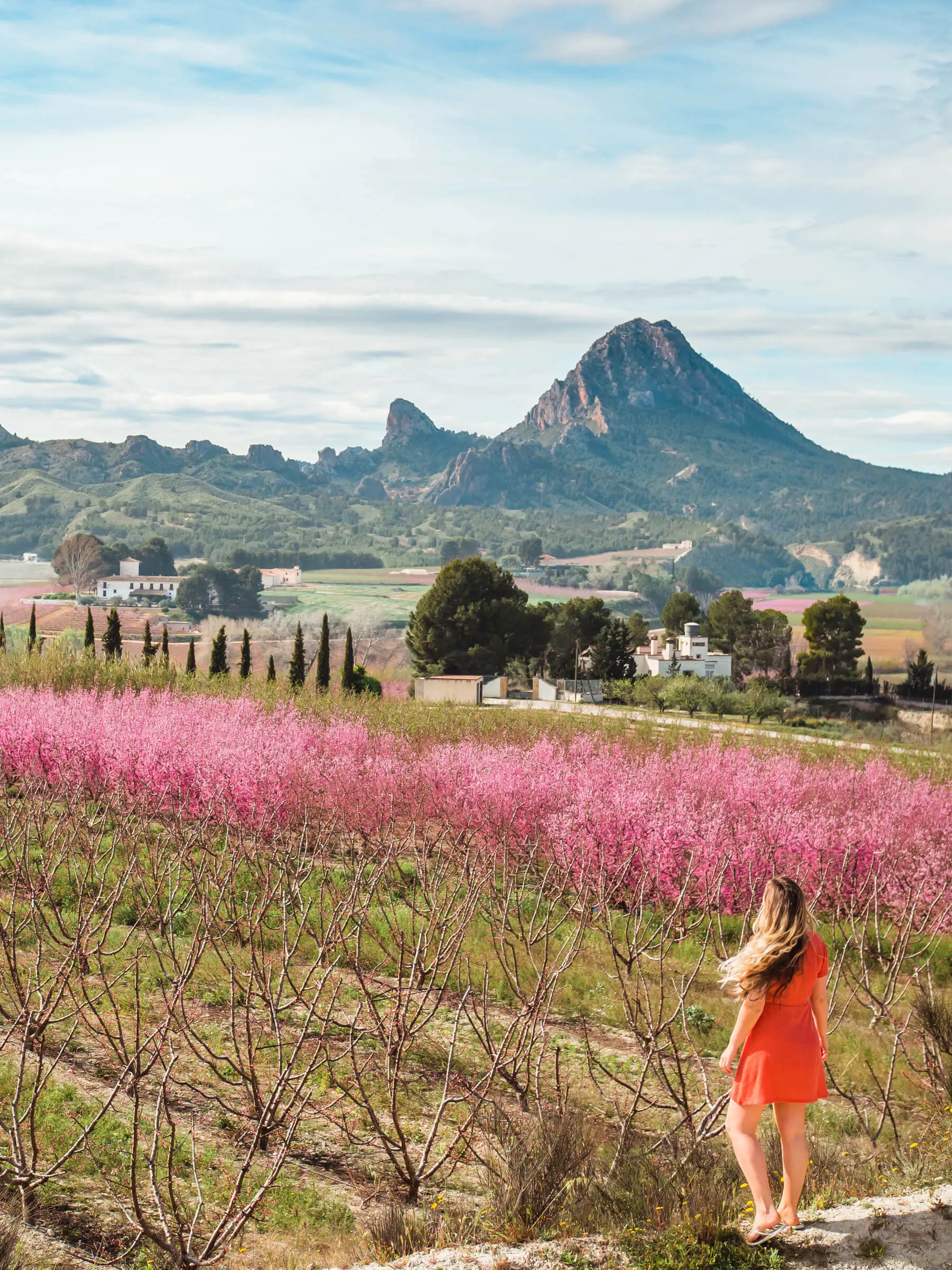 Woman wearing an orange dress looking over a gorgeous view of a field of peach tree blossoms in Murcia, Spain during Floración de Cieza