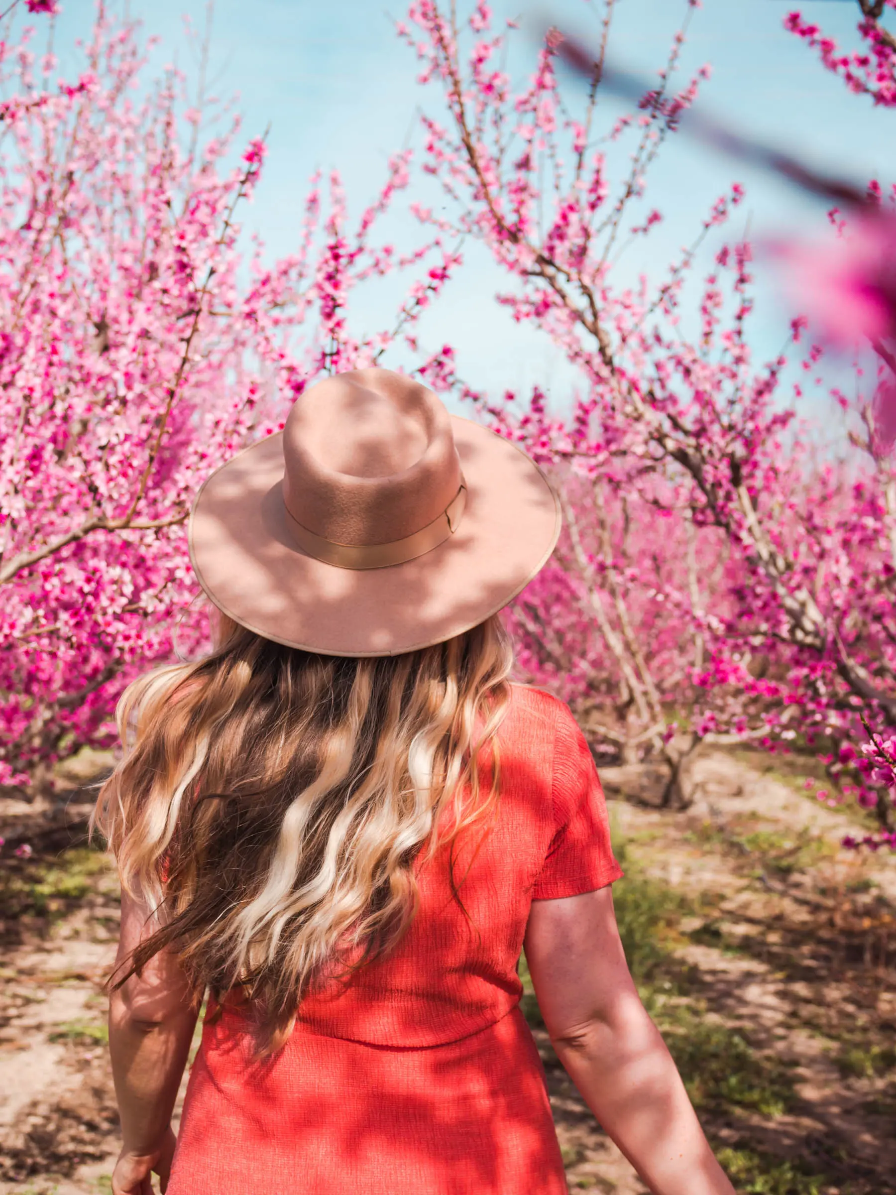 Running in a field of peach tree blossoms in Murcia, Spain - Click through for a complete guide to Floración de Cieza.