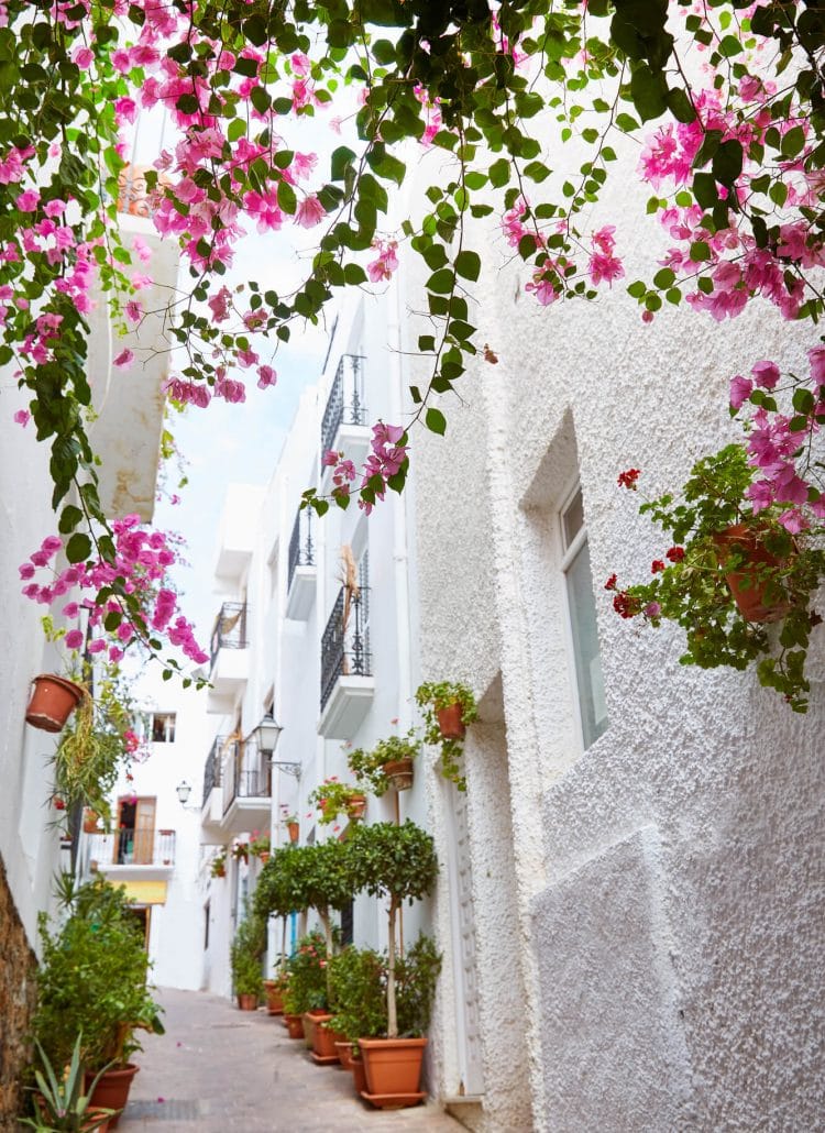 View of a narrow alley between white houses covered in Bougainvillea in Mojácar Pueblo in Almeria - One of Spain's most beautiful white villages