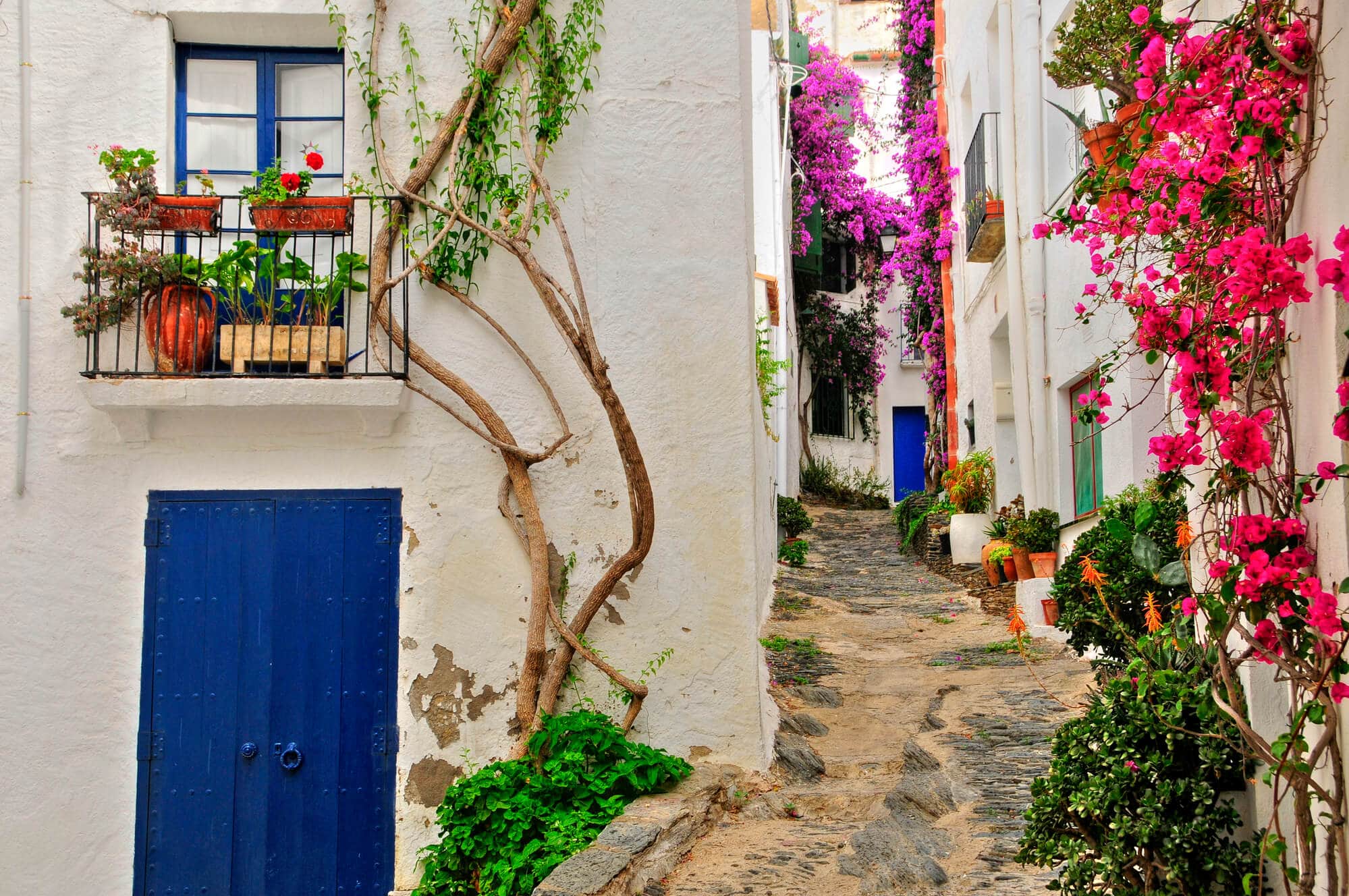 A narrow cobbled street between white houses with blue doors, covered in pink and purple flowers in Cadaqués - The Ultimate Spain Bucket List