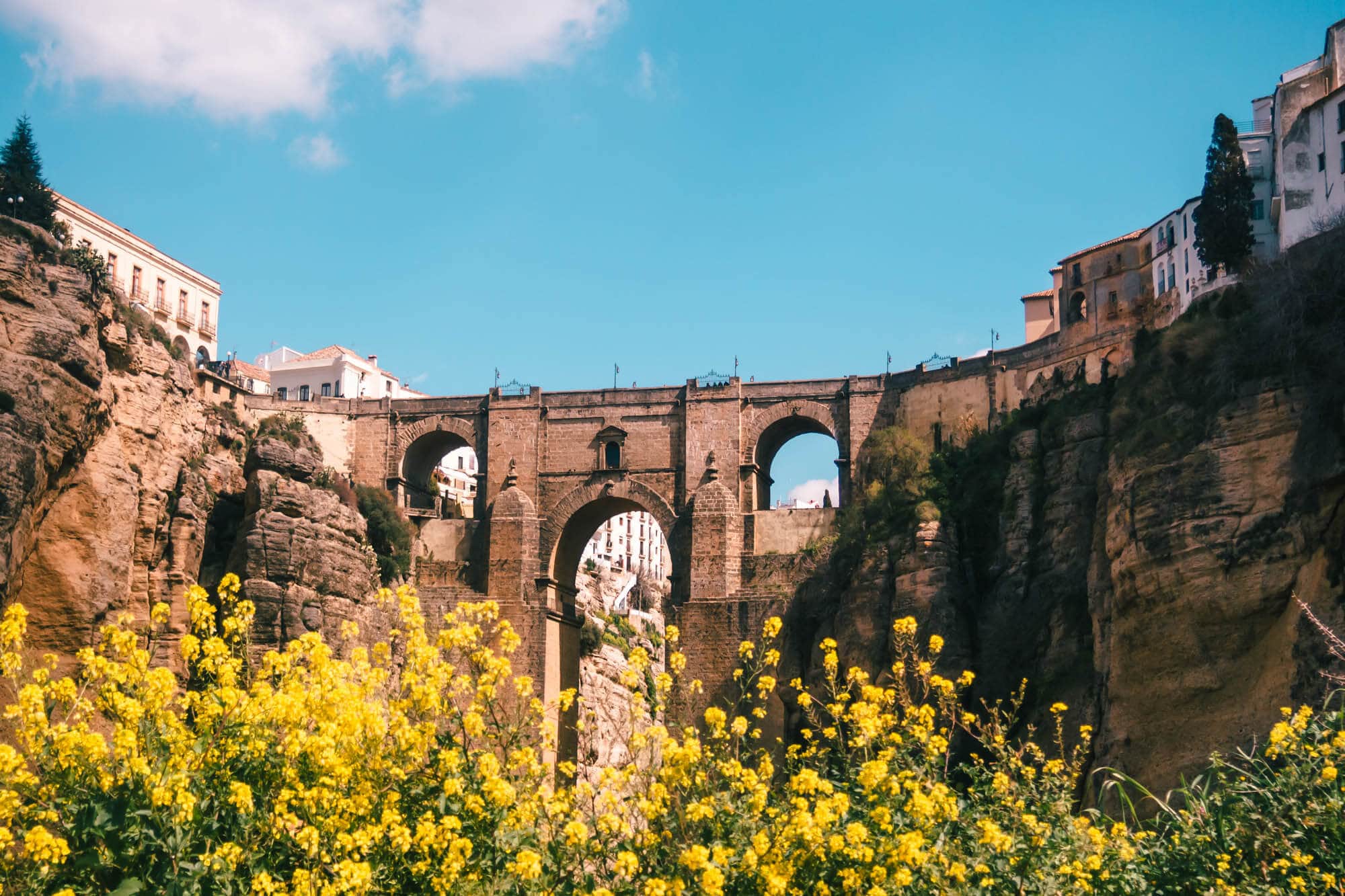 View of the beautiful Puente Nuevo Bridge in Ronda with yellow flowers in the foreground, on a day trip from Malaga by train.