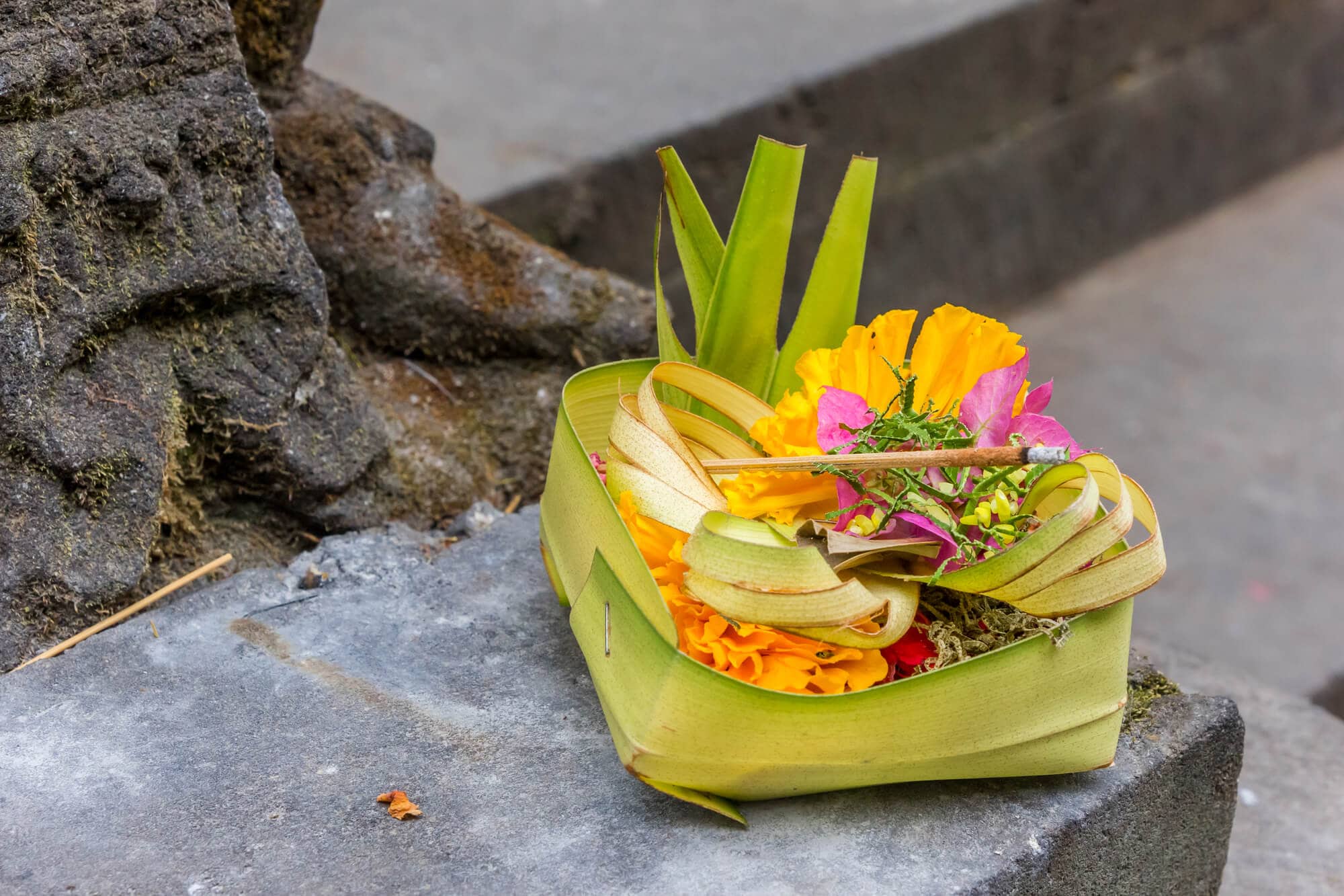 A beautiful light green canang sari offering in Bali, with pink and yellow flowers and an incense stick. You will se many of these during your two weeks in Bali. Please do not step on or disturb the offerings in Bali