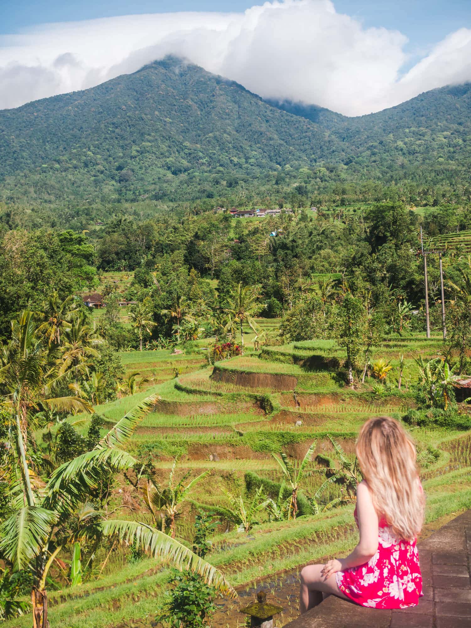 Girl looking out over Jatiluwih Rice Terraces