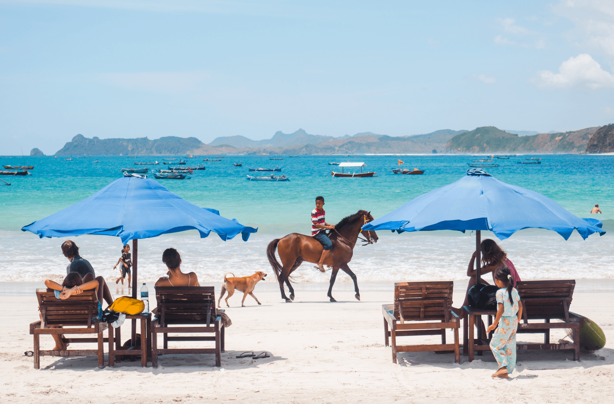 A horse and dog on Selong Belanak Beach in Lombok