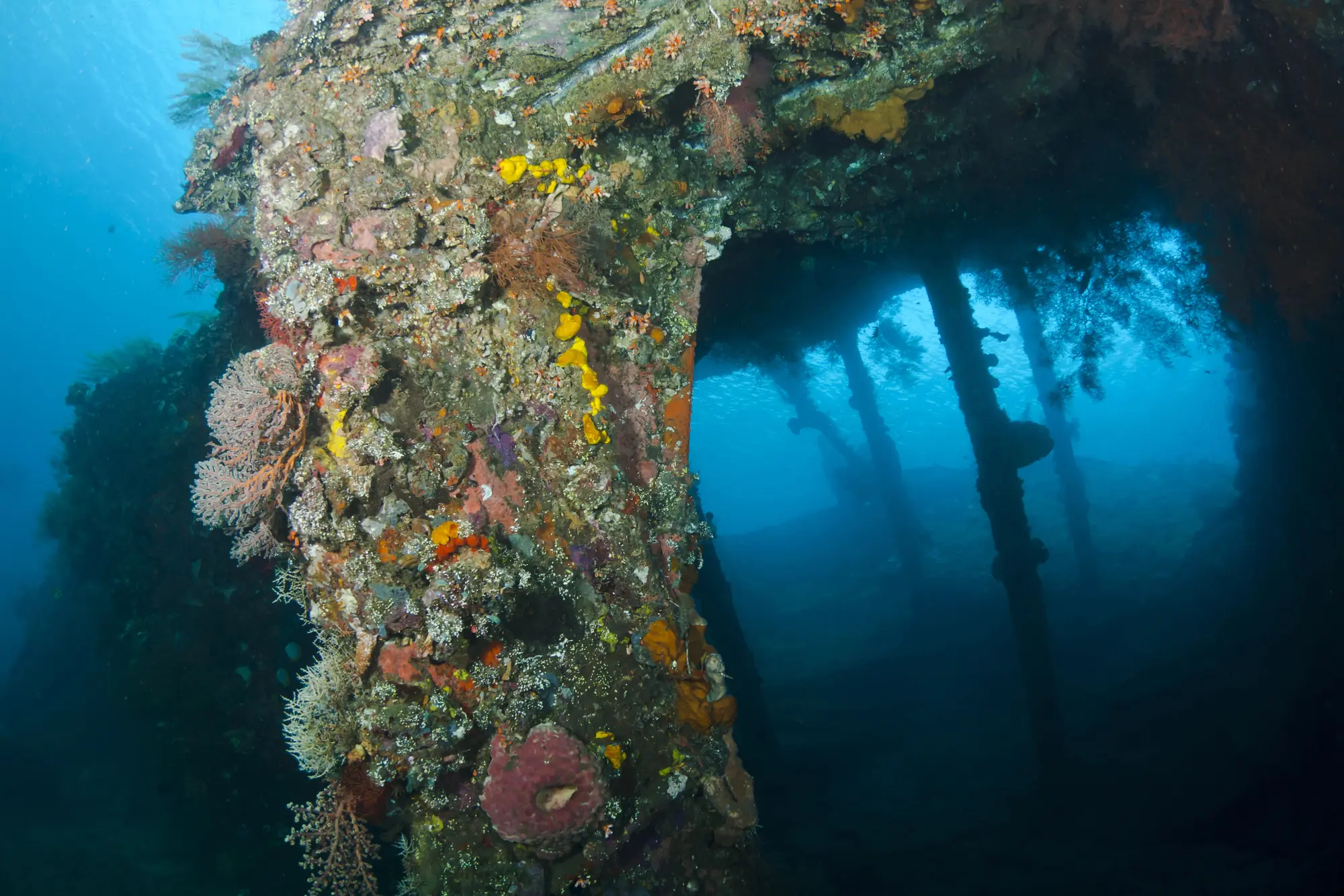 Close up of an old shipwreck covered in colorful corals in dark blue water, diving Tulamben is one of the top things to do in Bali.