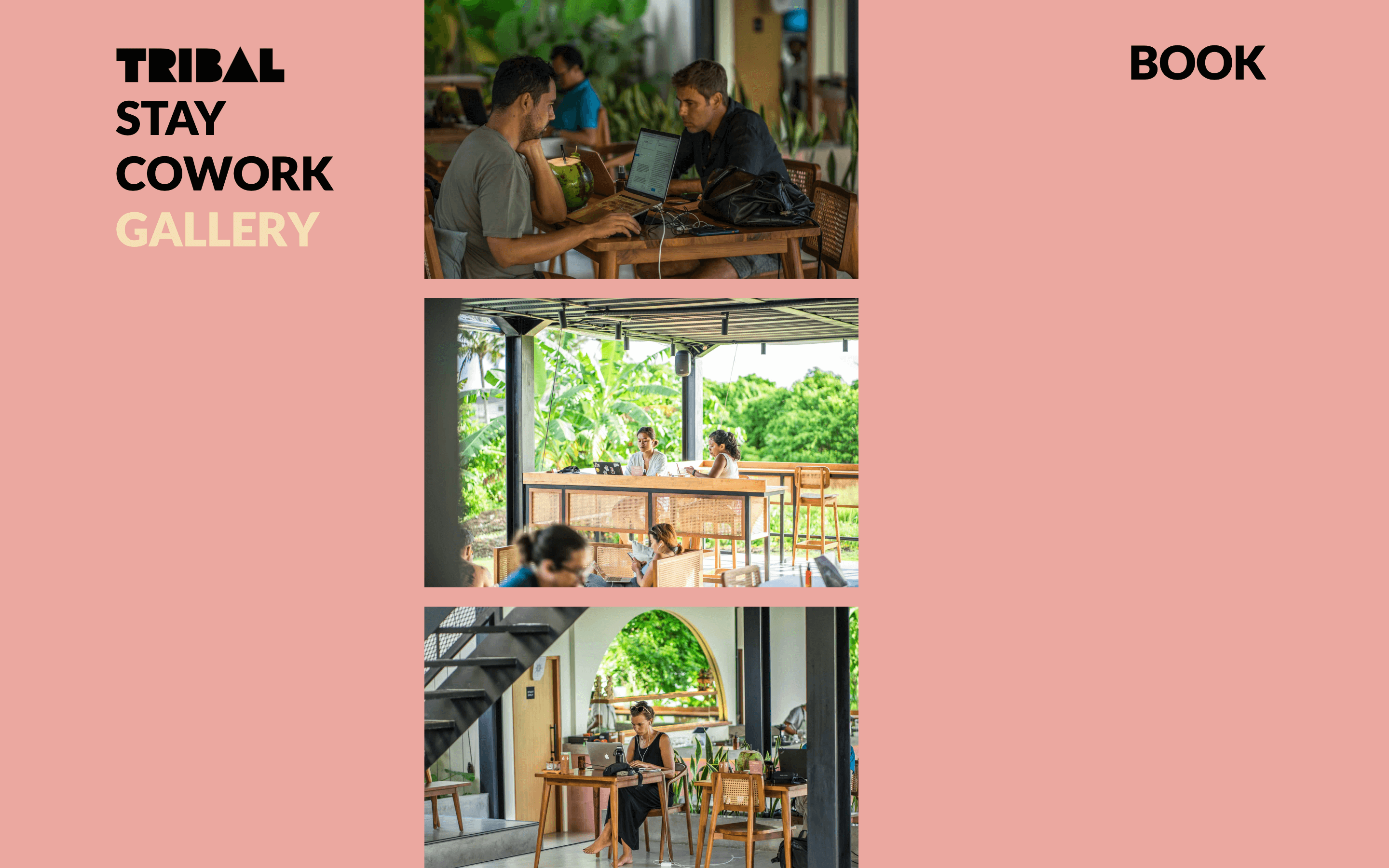 Tribal coworking in Canggu, Bali