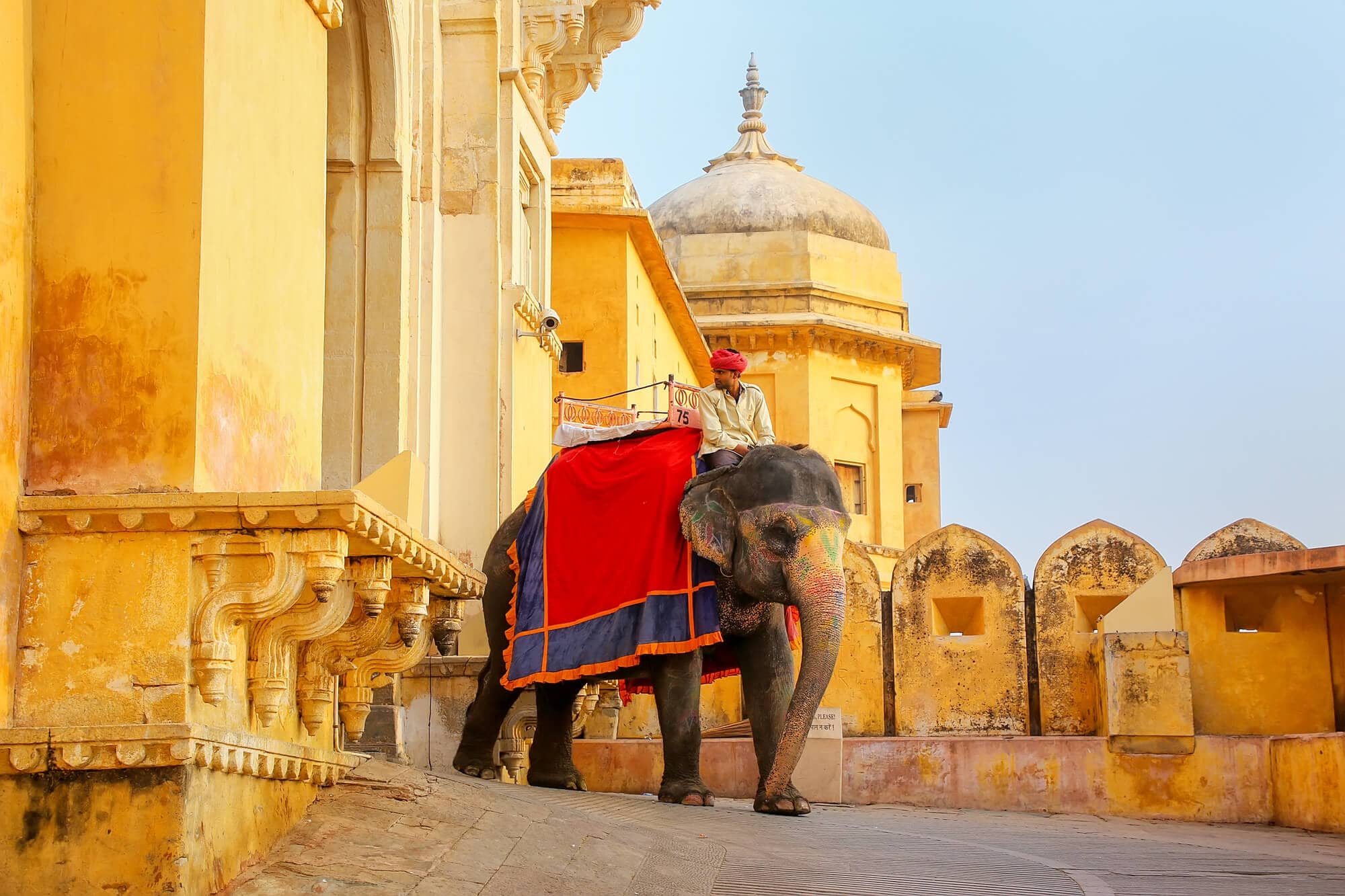 Elephant with a red blanket outside the golden Amber Fort in Jaipur.