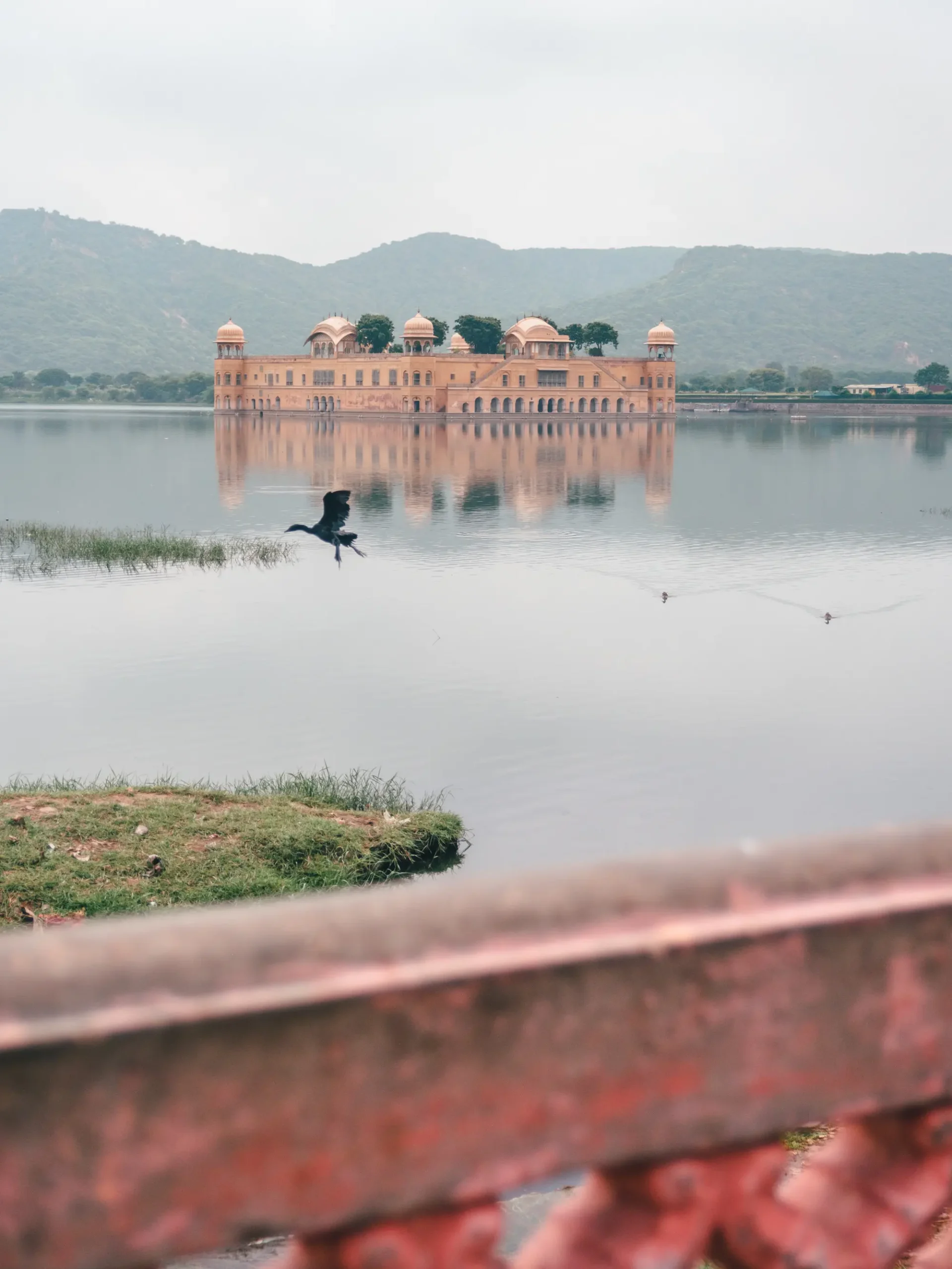 Looking out at the light brown semi-submurged Jal Mahal Water Palace in the middle of a lake with a bird flying by, during 2 days in Jaipur.
