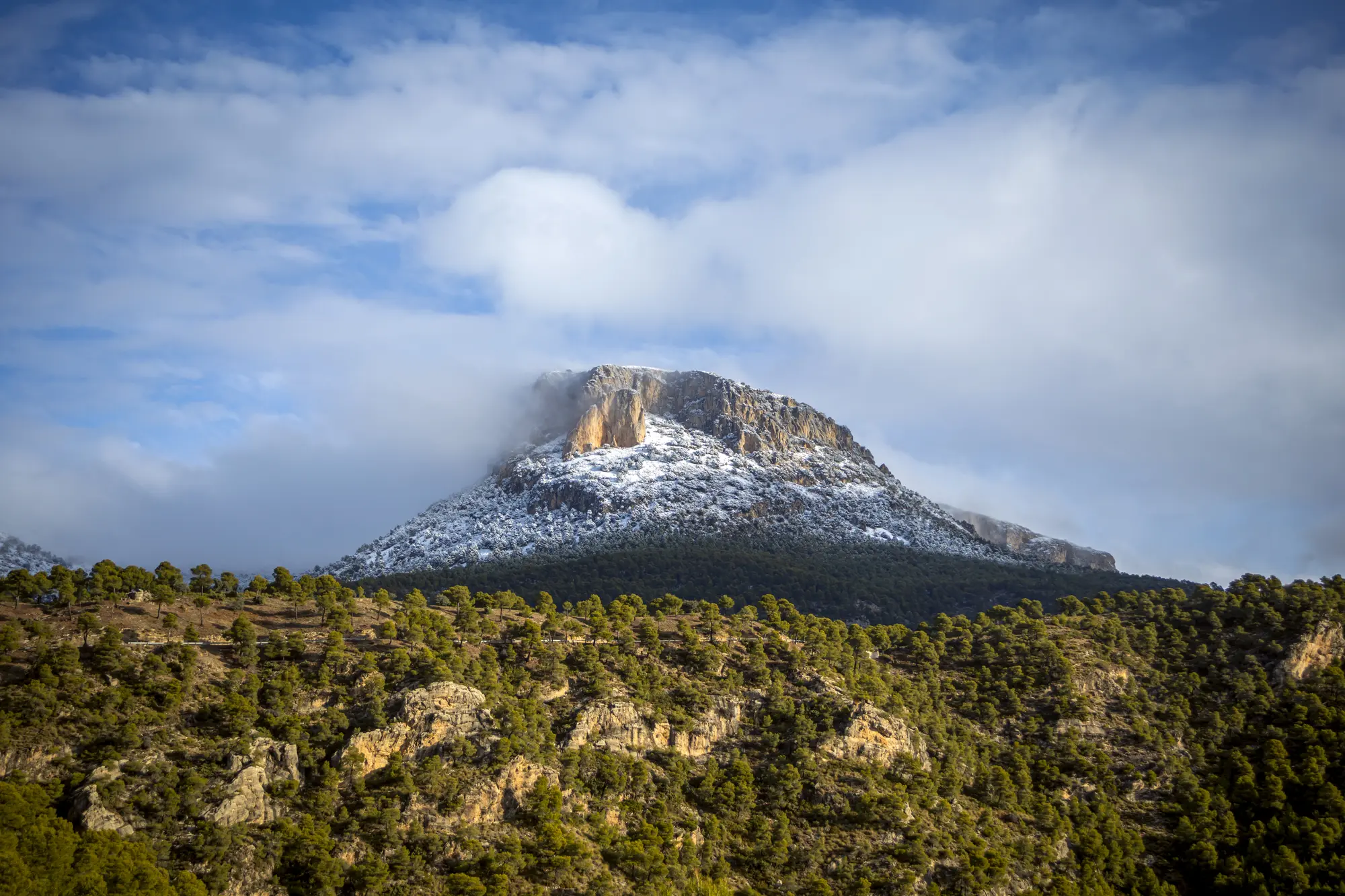 View of mountain top with snow in the clouds above the pine forest in Sierra Espuna, one of the top places to see in Murcia.