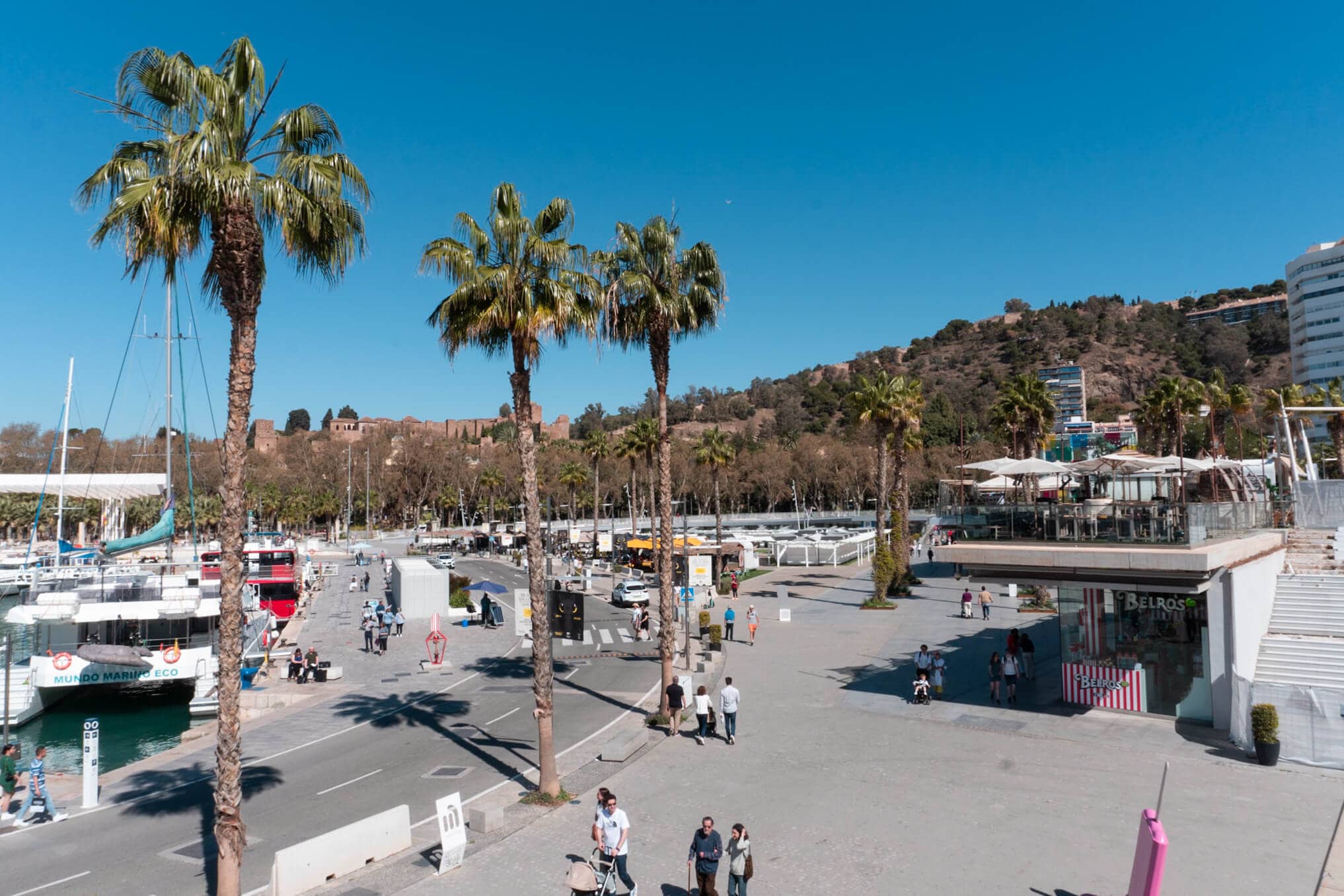 People walking along the harbor lined by palm trees in the new Muelle Uno area of Malaga port in Spain.