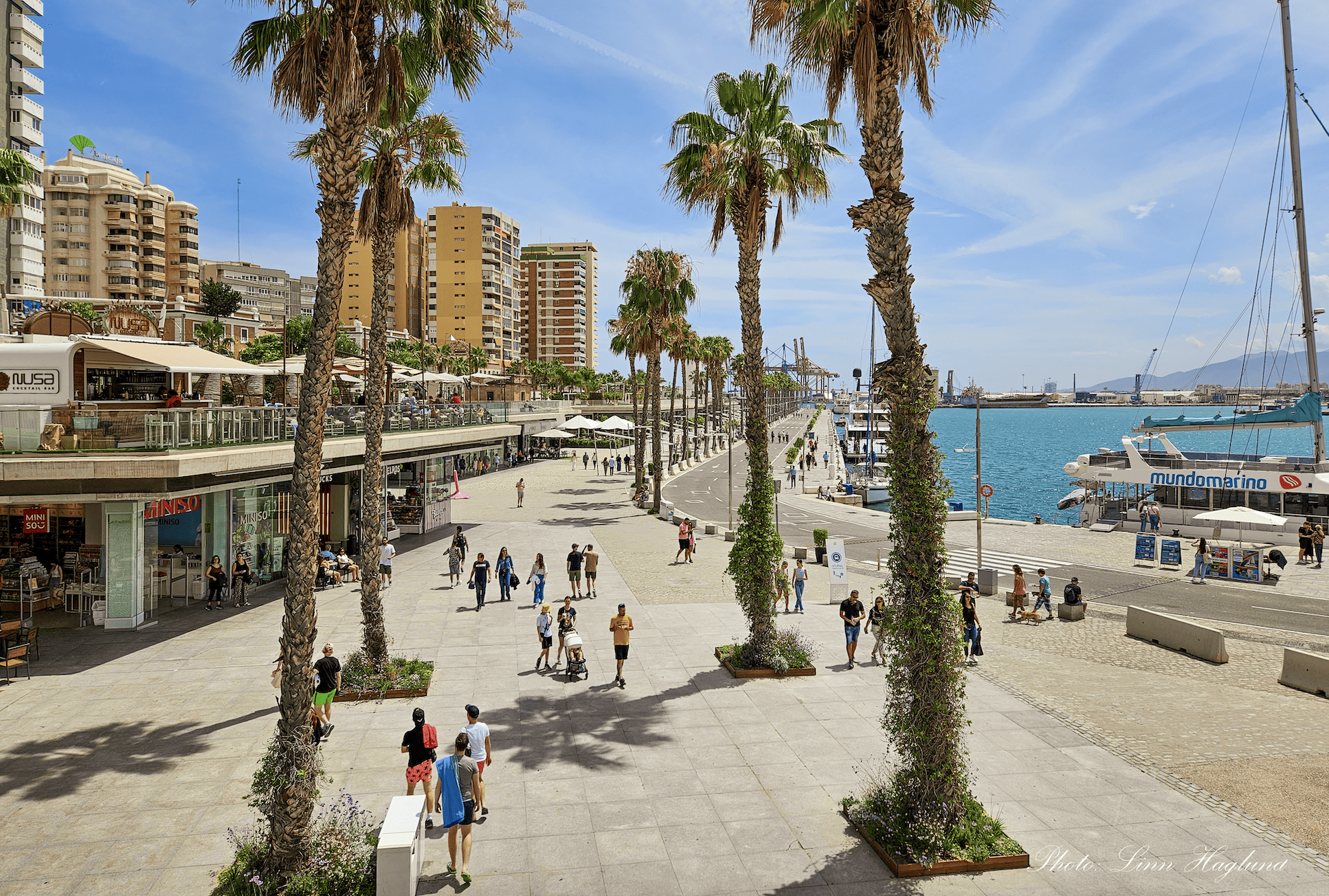 People walking along the palm tree lined Muelle Uno area of Malaga Port on a sunny day. 