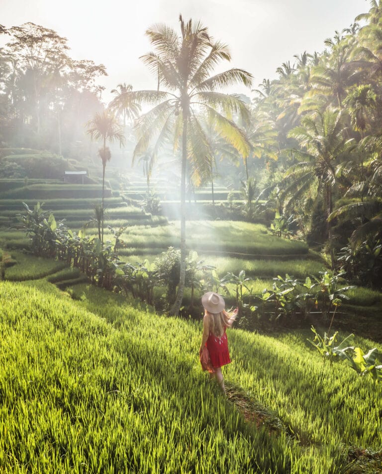 Rainy season in Bali: What you need to know (2025)