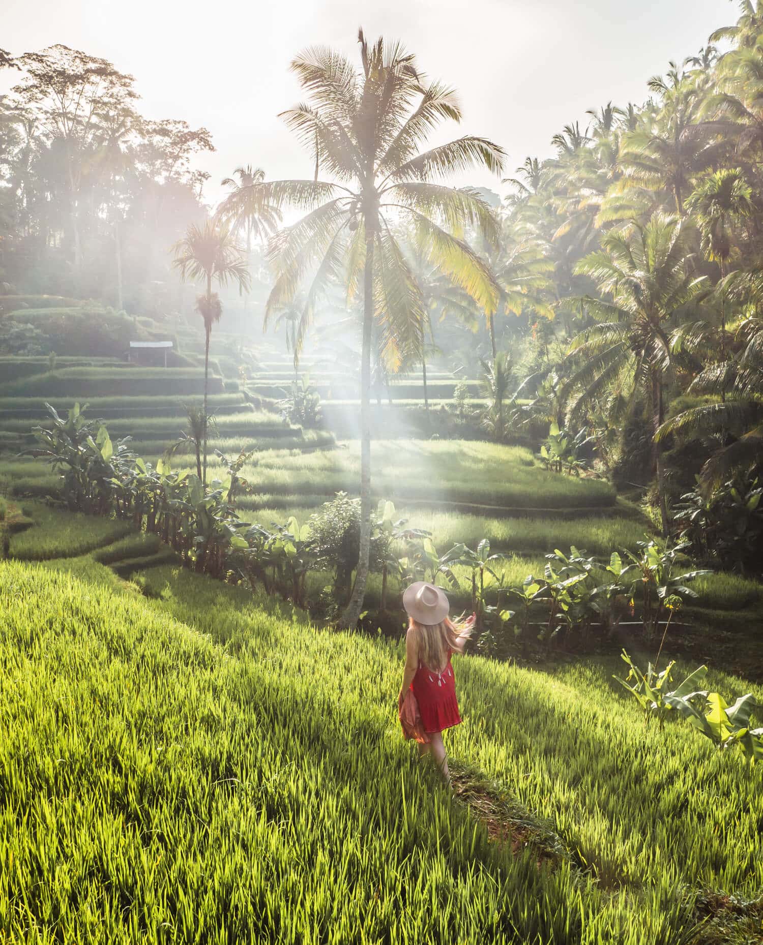 Girl with link hear wearing a beige hat and a red dress walking in the lush green rice fields of Tegalalang with the early morning light peeking through the palm trees during the rainy season in Bali.