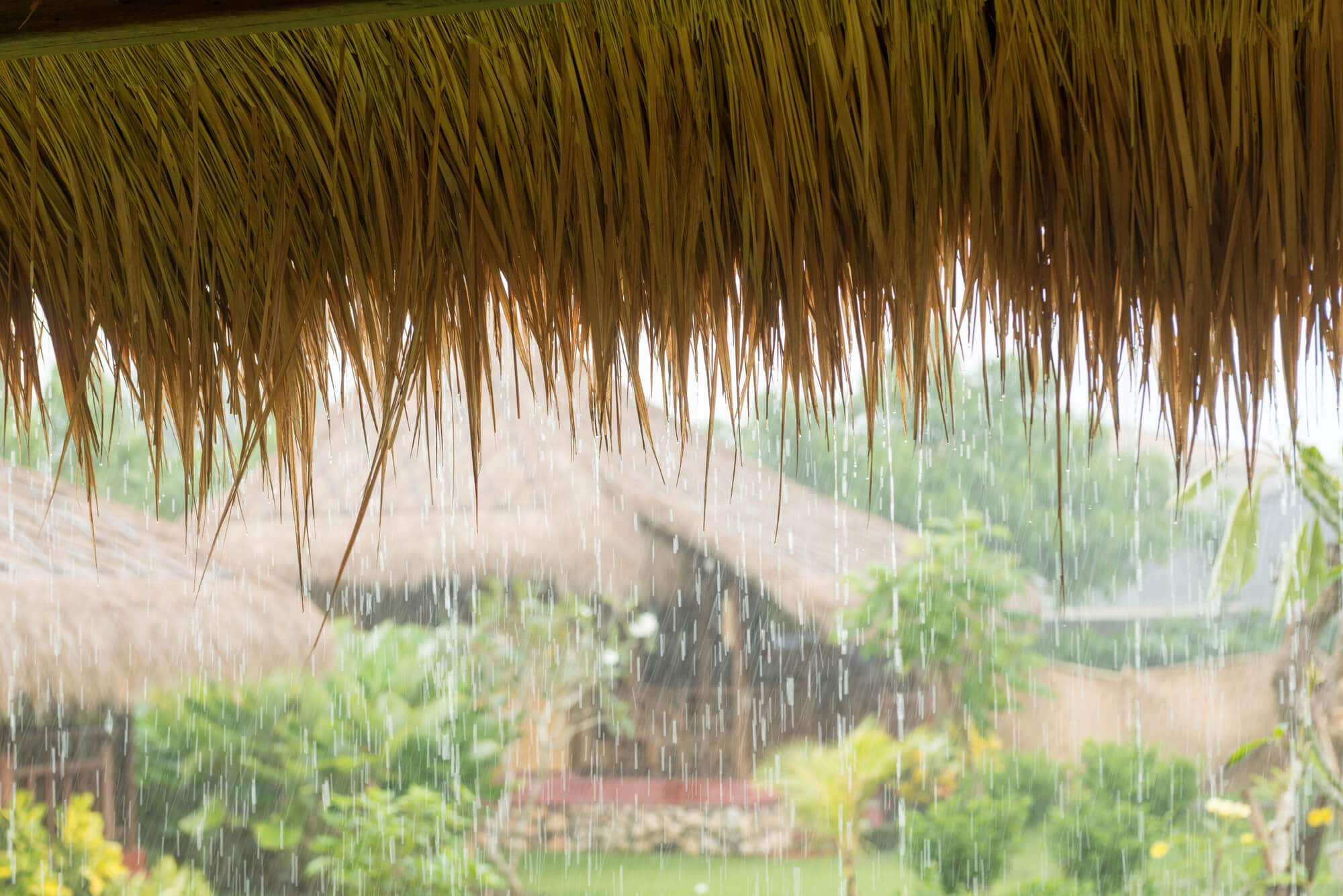 Looking out on the rain from a bungalow with straw roof, during the rainy season in Bali.