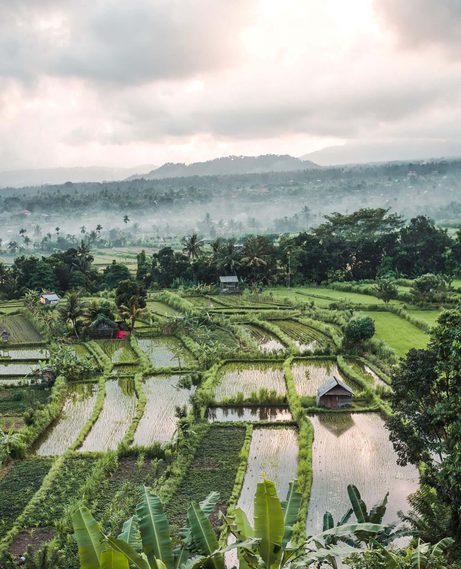 Rainy season in Bali: What you need to know (2024)