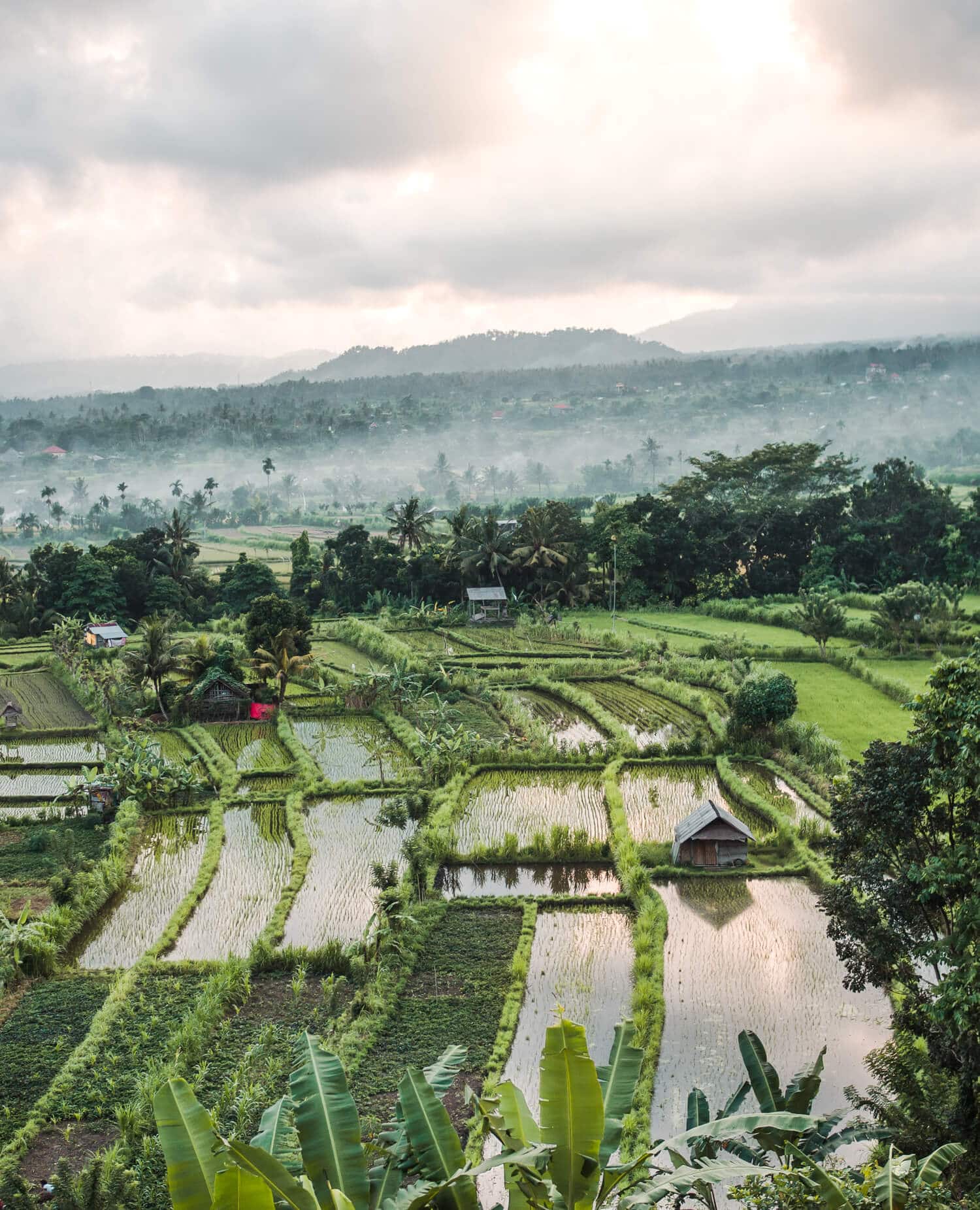 View over lush rice fields and jungle in East Bali at sunset during the rainy season.