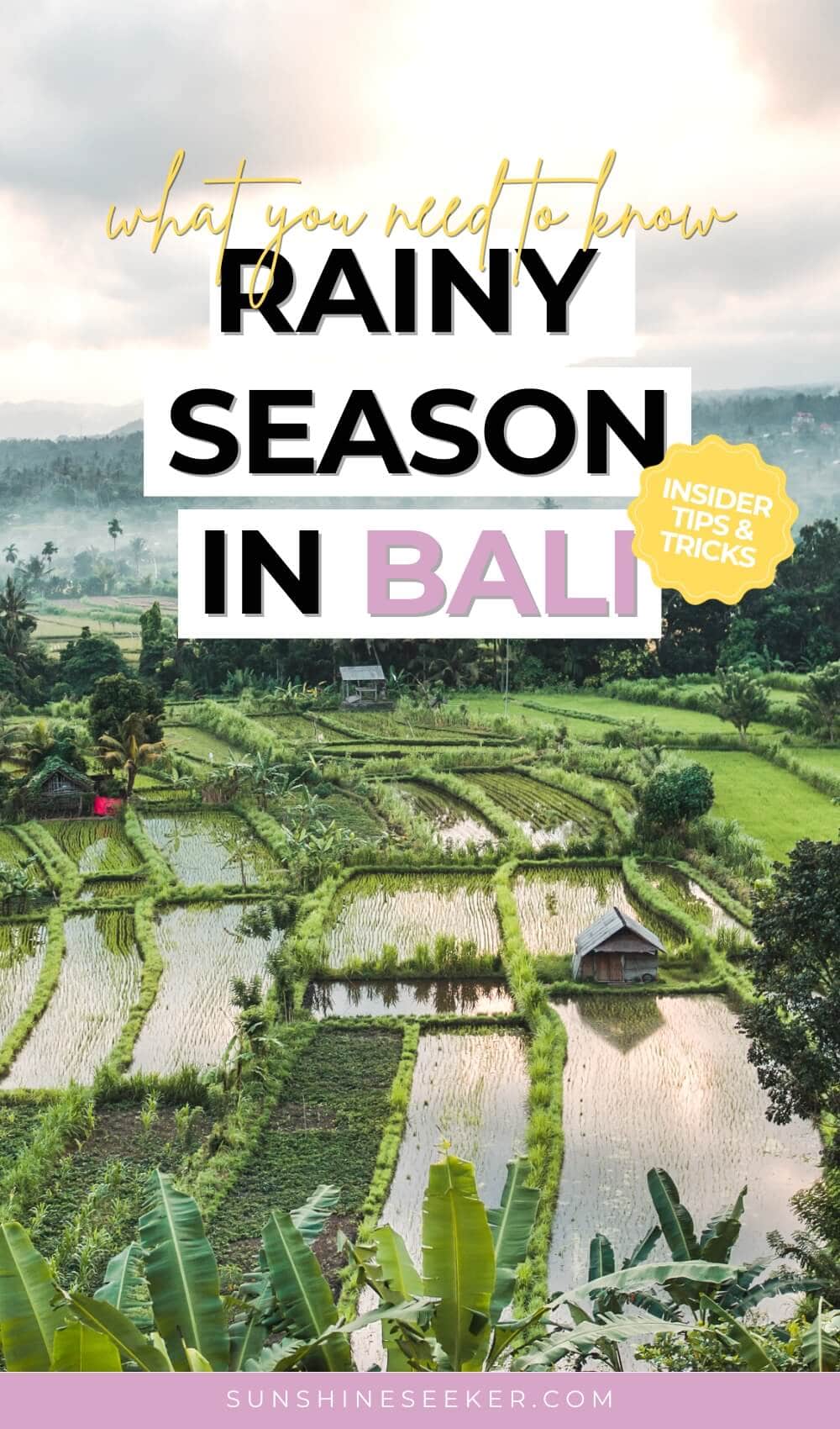 This is everything you need to know before visiting Bali during the rainy season. Where to stay, top things to do while it's raining and which months gets the most rain during the rainy season in Bali.
