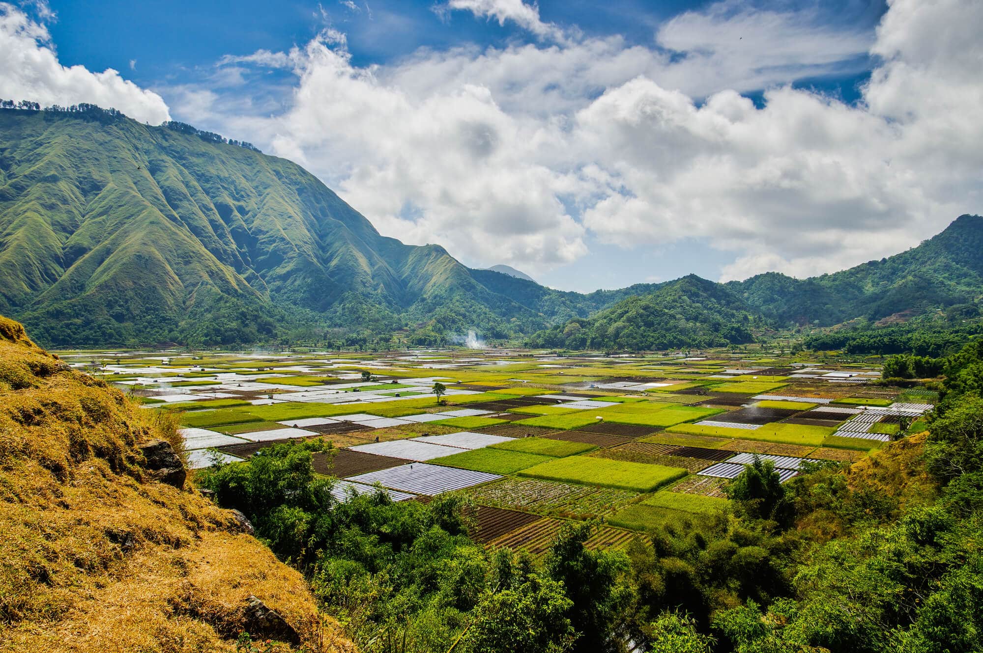 View of different colored square fields with a mountain in the background seen from Bukit Selong Viewpoint, one of the top things to do in Lombok.