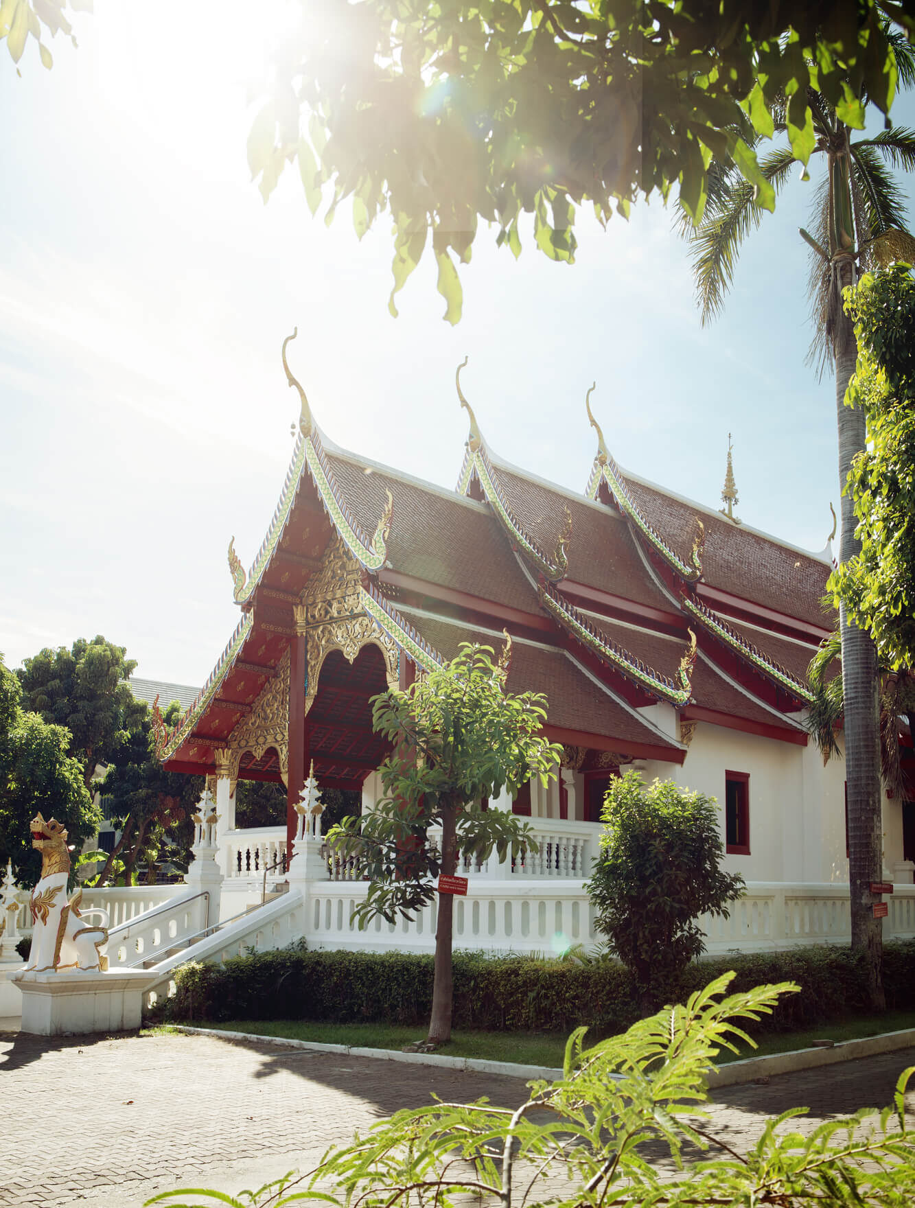 Wat Pan Ping with red roof, gold details and two white dragons out front, one of the hidden gem temples in Chiang Mai, Thailand.