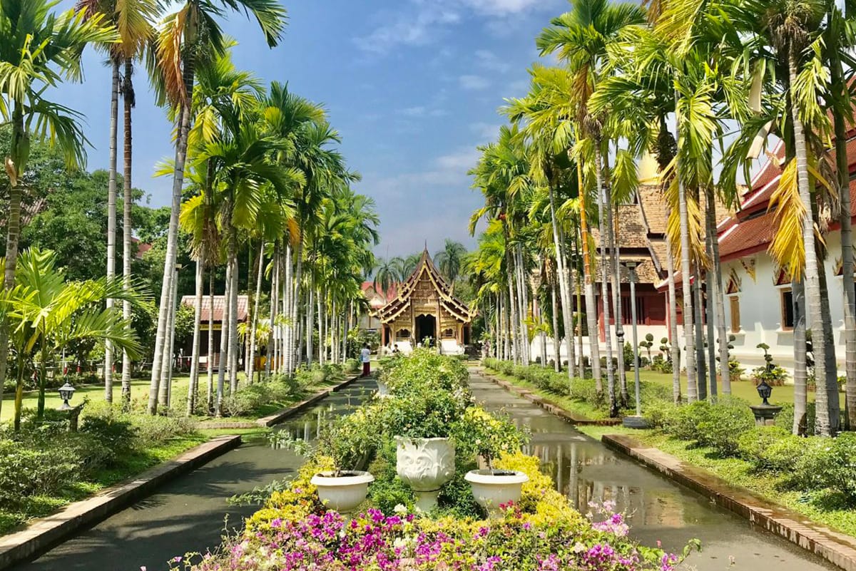 Row of palm trees on either side of a pond with pink flowers in the middle at Wat Phra Singh Temple in Chiang Mai, Thailand.