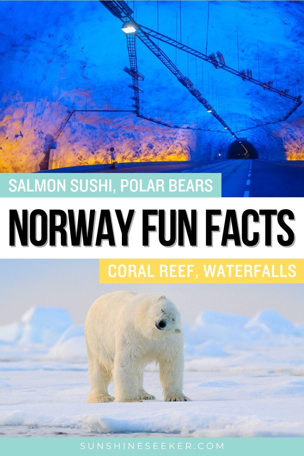 Norway fun facts - From polar bears and salmon sushi to volcanos and the Vikings. Discover fascinating facts about Norway for your next quiz.