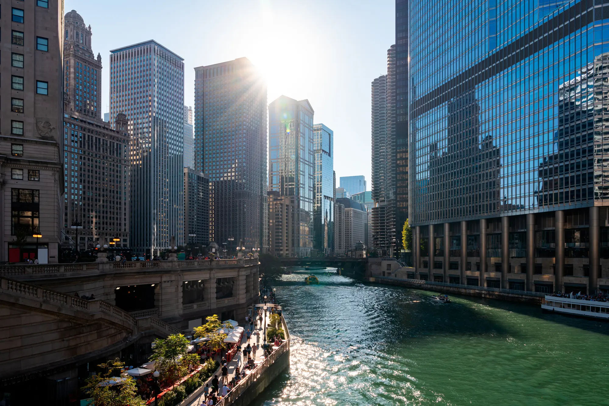 View of the green Chicago river surrounded by tall sky scrapers with a sun flare peeking through during an architectural boat tour of Chicago.