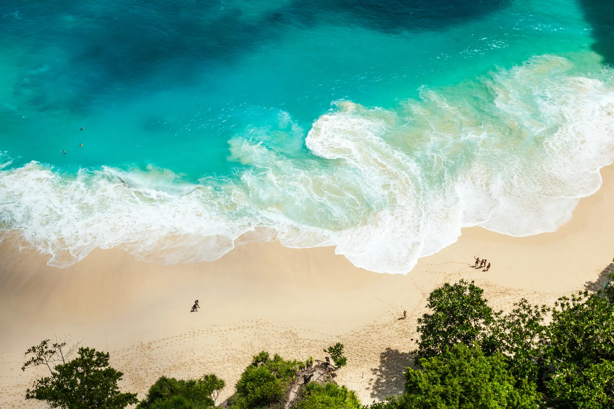 Aerial shot of the light sand and turquoise water at Kelingking Beach, one of the top things to see in West Nusa Penida.