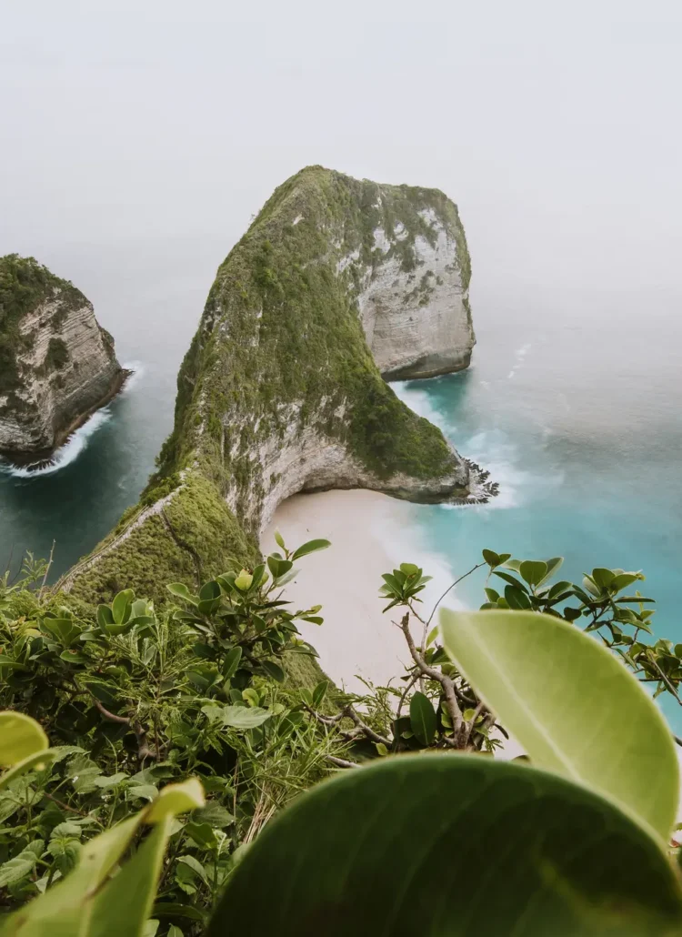 View from above of the T-Rex shaped cliff and white sand at Kelingking Beach, one of the top things to see in West Nusa Penida.