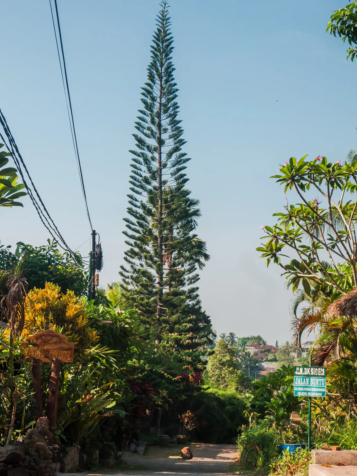 North starting point of the Campuhan Ridge Walk in Ubud Bali.