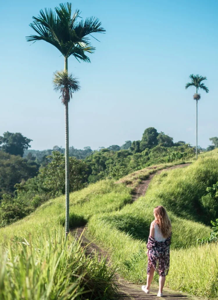 Girl with long hair, wearing a purple kimono, walking towards two palm trees on the Campuhan Ridge Walk in Ubud, Bali.