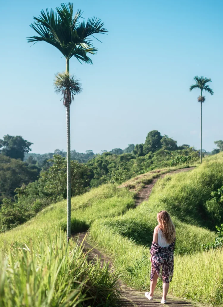 Campuhan Ridge Walk in Ubud: Complete route guide + map