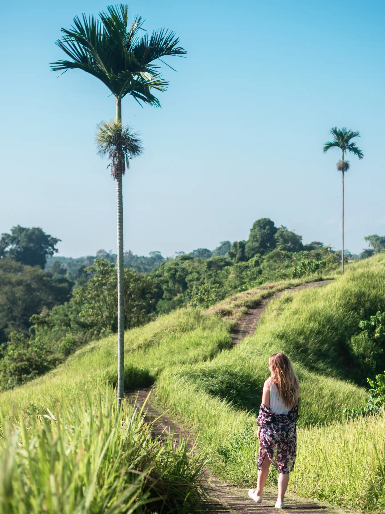 Girl with long hair, wearing a purple kimono, walking towards two palm trees on the Campuhan Ridge Walk in Ubud, Bali.