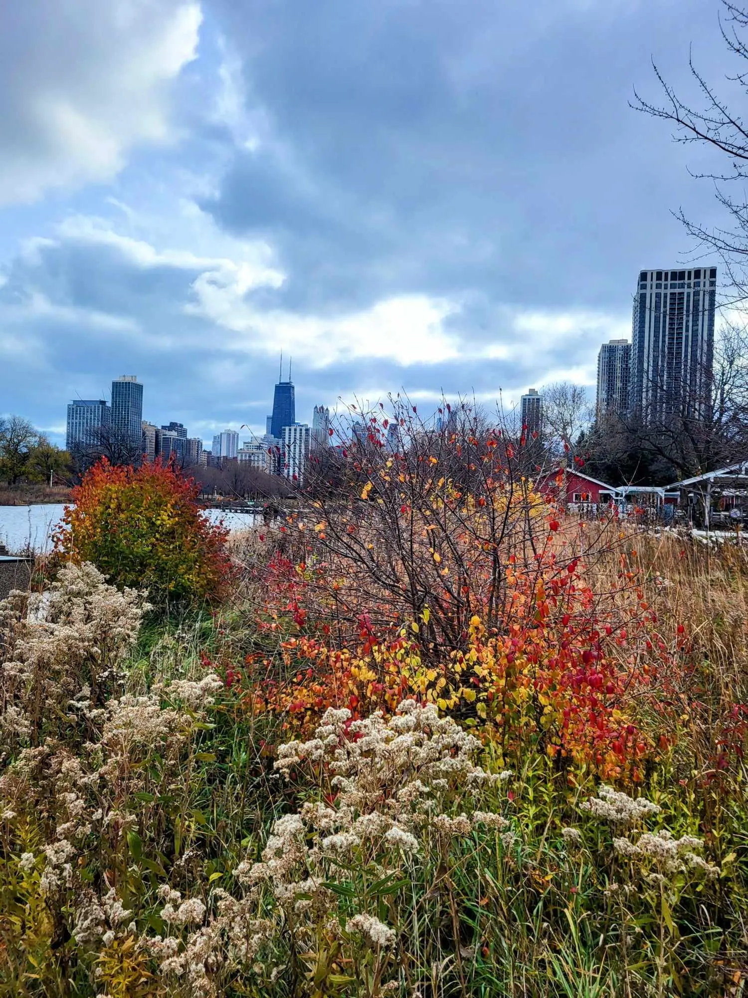 Autumn foliage in Lincoln Park with the Chicago skyline in the background, one of the best areas to stay for first-timers in Chicago.