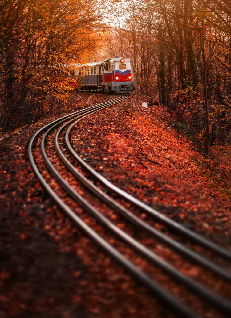 Red, blue and white Children's Railway train driving towards the camera through an orange forest in fall, a hidden gem in Budapest.