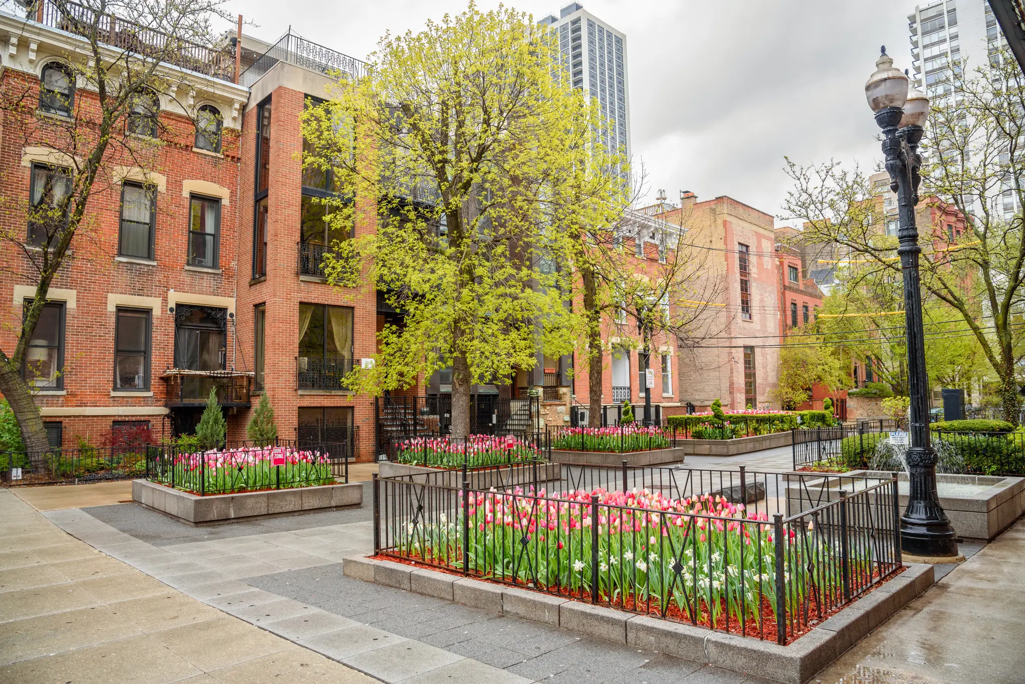 Red brick buildings surrounding a square with pink tulips in Old Town, one of the best areas to stay in Chicago.