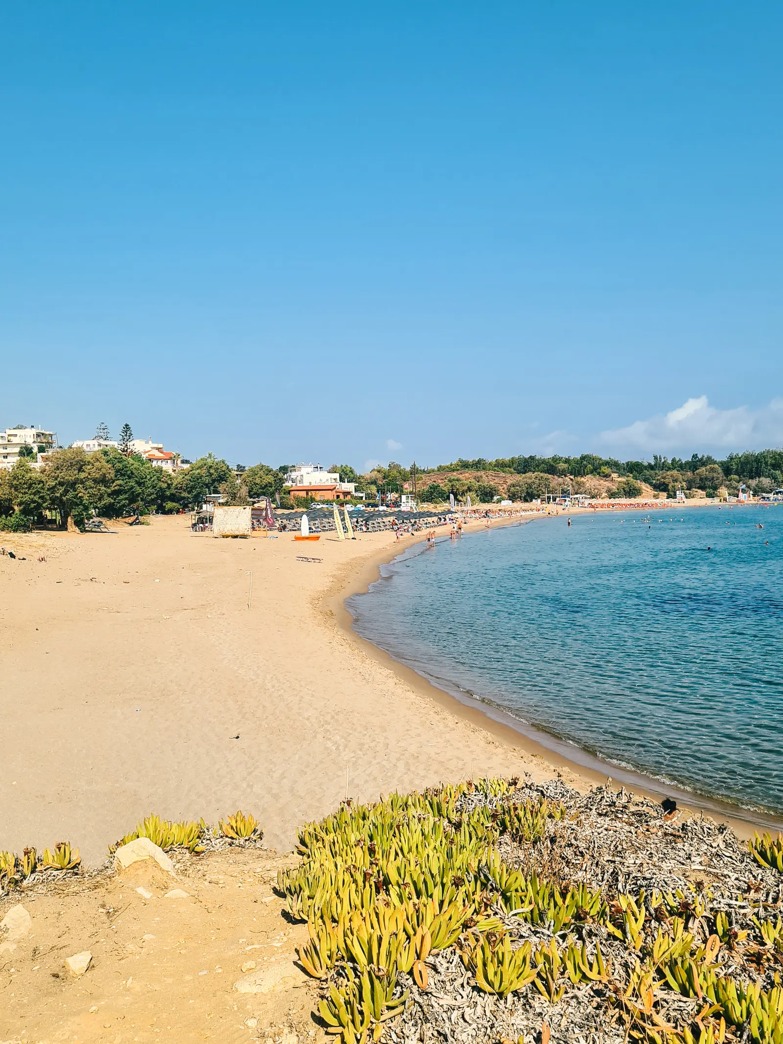 Chrissi Akti Beach, a golden bay of sand and blue water lined by greenery on a sunny day. Chania beaches.