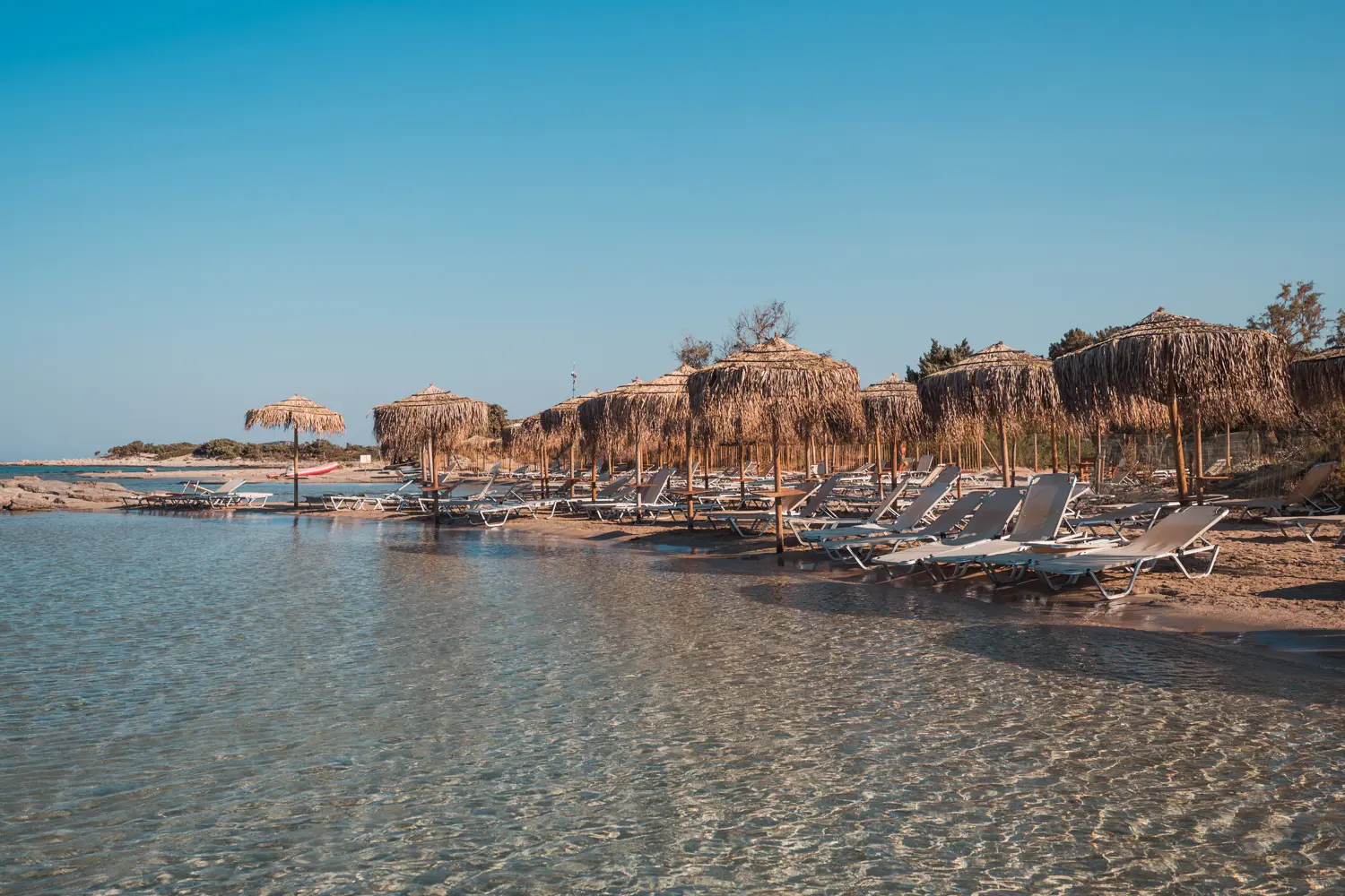 20+ white sunbeds under straw parasols by the shallow water of Elafonisi Beach early in the morning on a day trip from Chania.