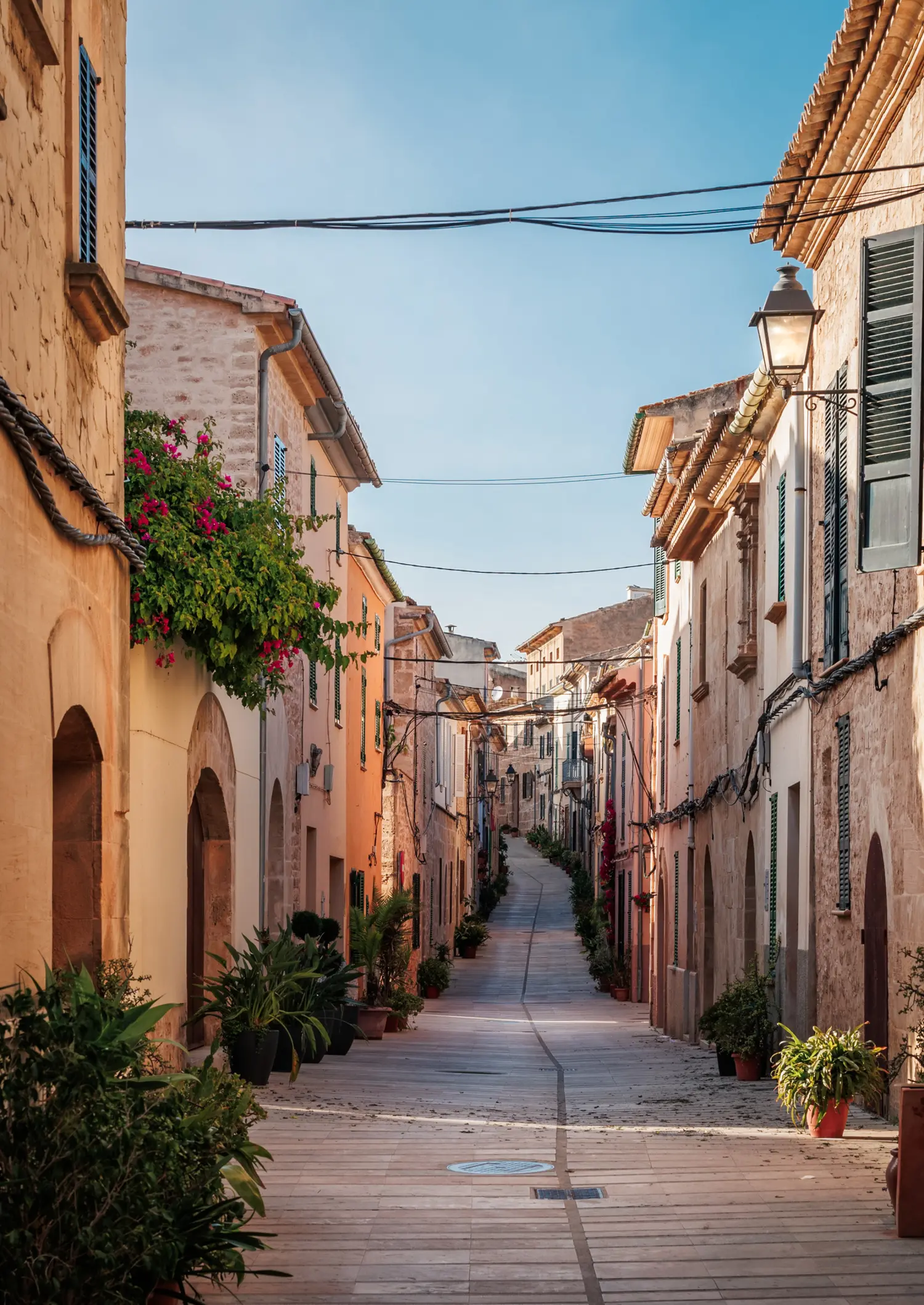 Narrow tiled street with beige and yellow stone houses on both sides with flower pots in Alcudia Mallorca.