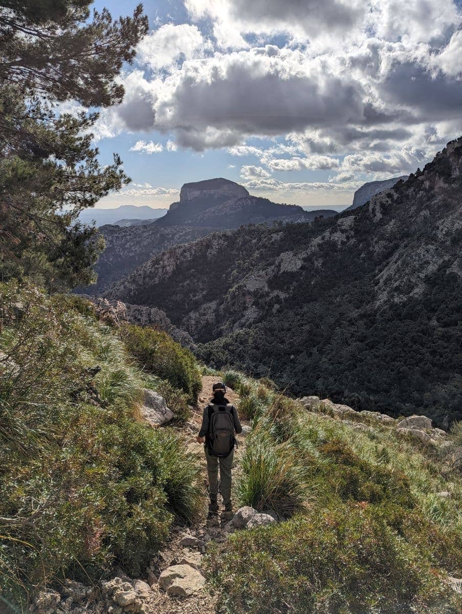 Woman wearing dark hiking gear and a backpack hiking on a stone path surrounded by greenery with the Tramuntana Mountains of Mallorca in the background.