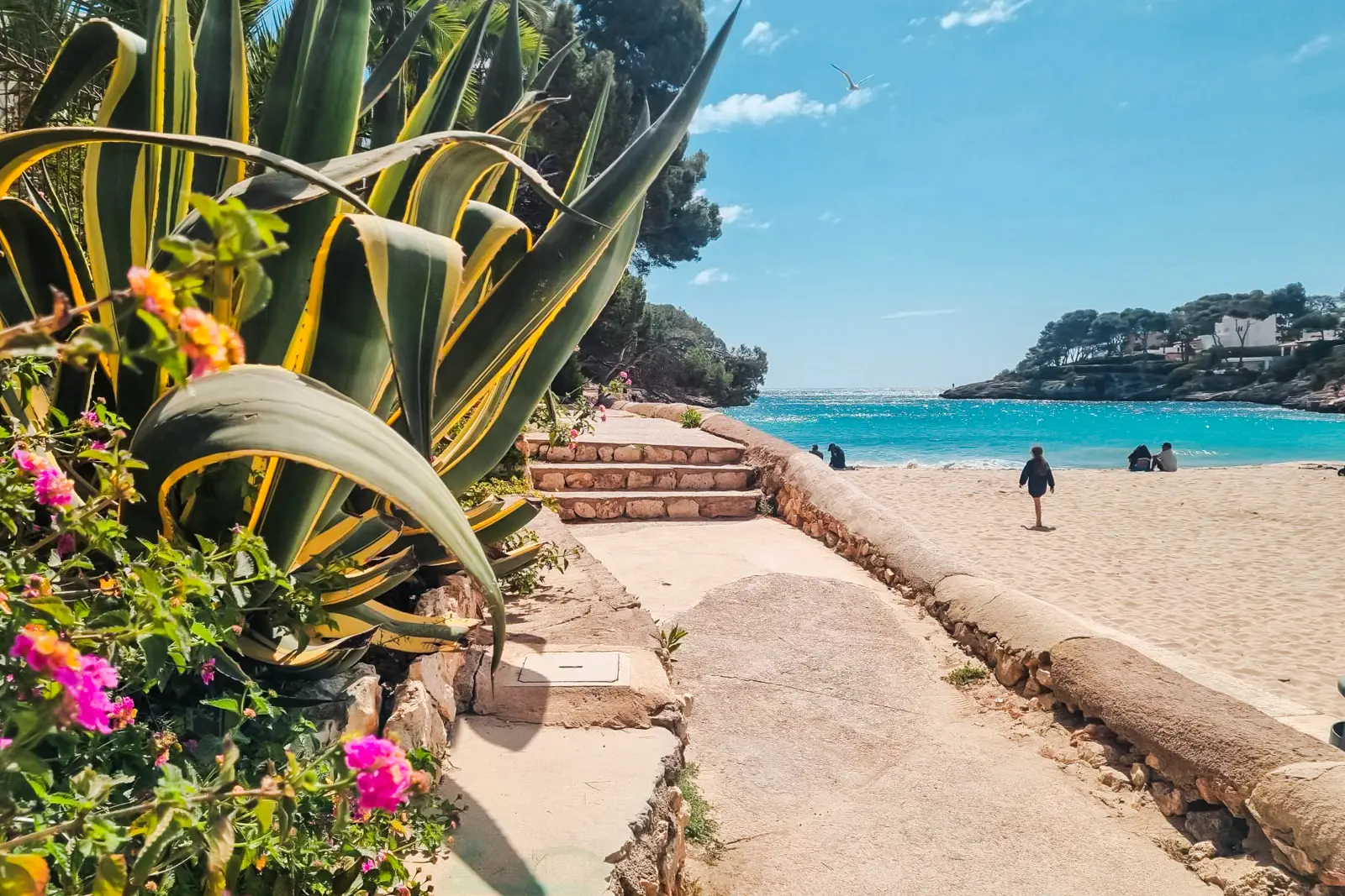 Walking along a sandstone path at one of the best calas on Mallorca during a guided tour.