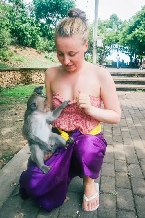 Girl in pink top and purple sarong sitting on the ground with a grey monkey on her lap at Uluwatu Temple in Bali.
